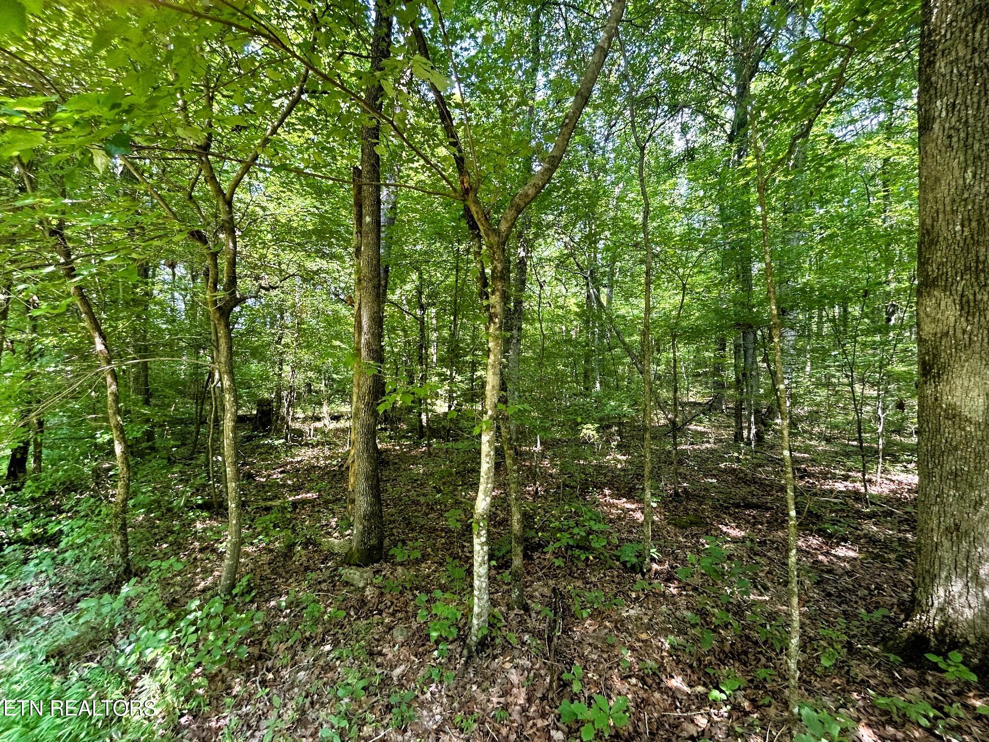 Lakeview 1 Highway 304 Ten Mile TN 37880