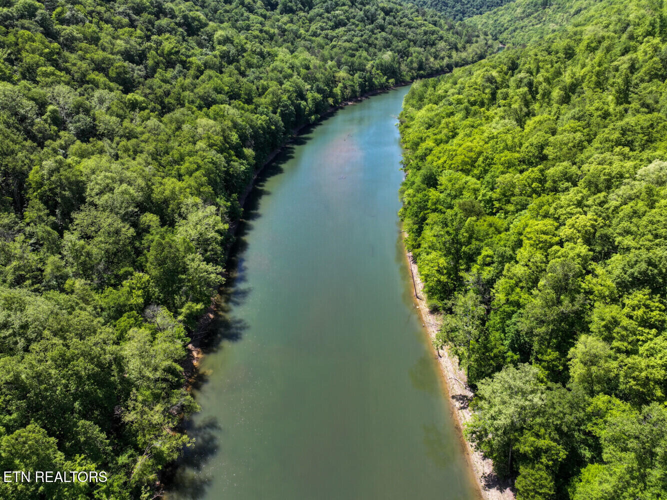 0 Crestwood Drive Speedwell TN 37870