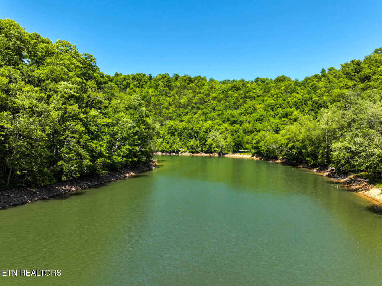 0 Crestwood Drive Speedwell TN 37870
