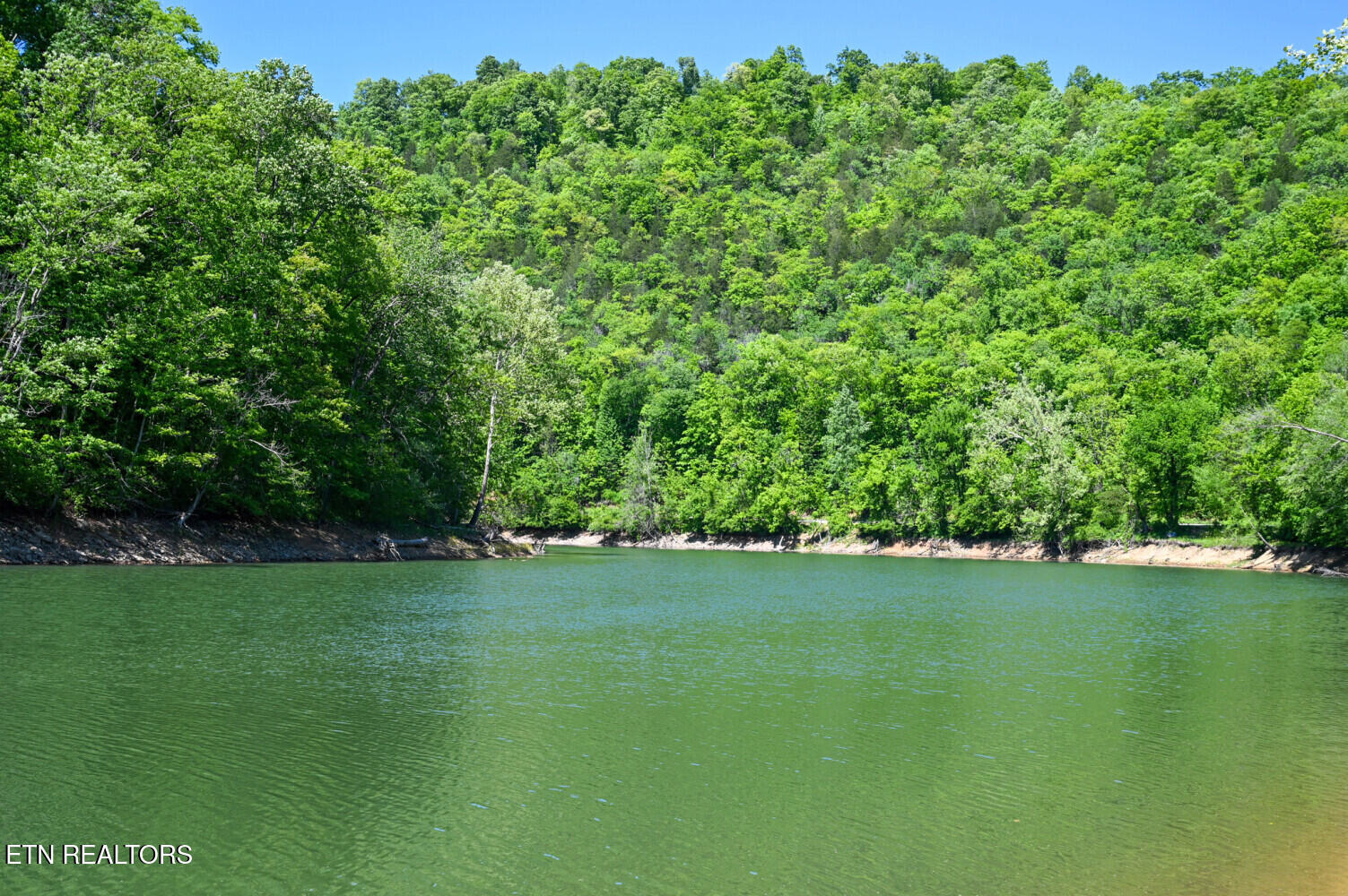 0 Crestwood Drive Speedwell TN 37870