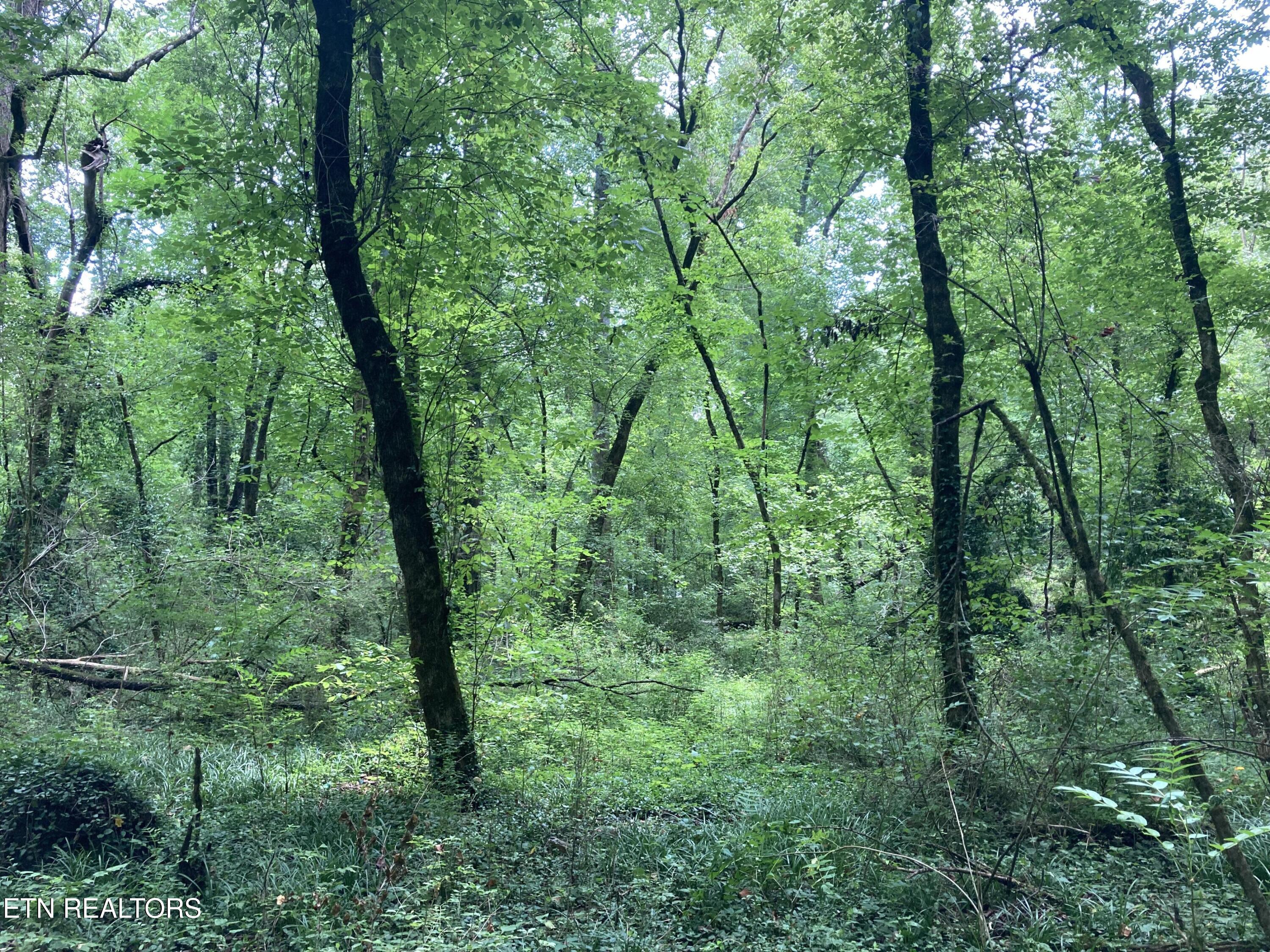 4921 Wise Hills Road Knoxville TN 37920