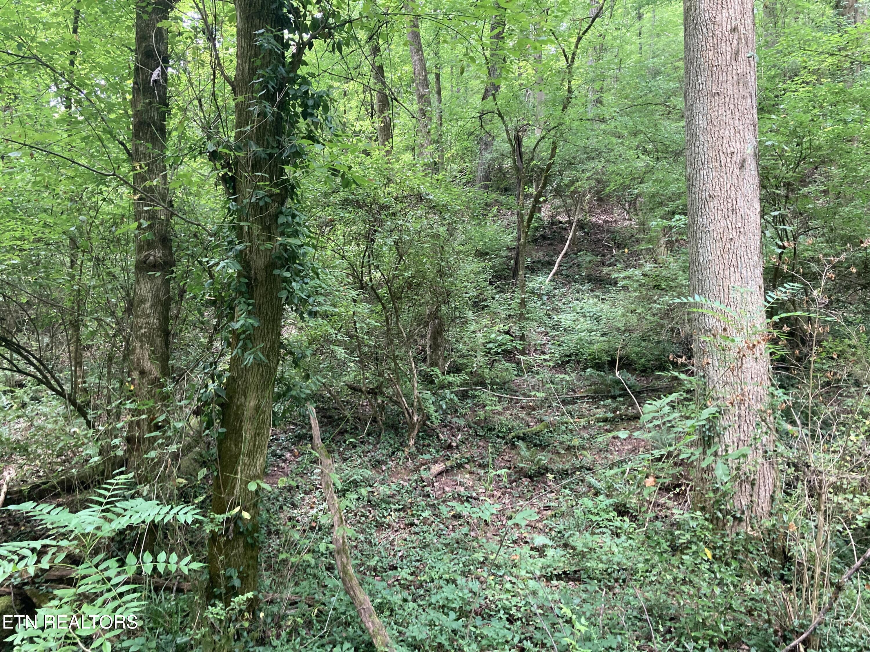 4921 Wise Hills Road Knoxville TN 37920