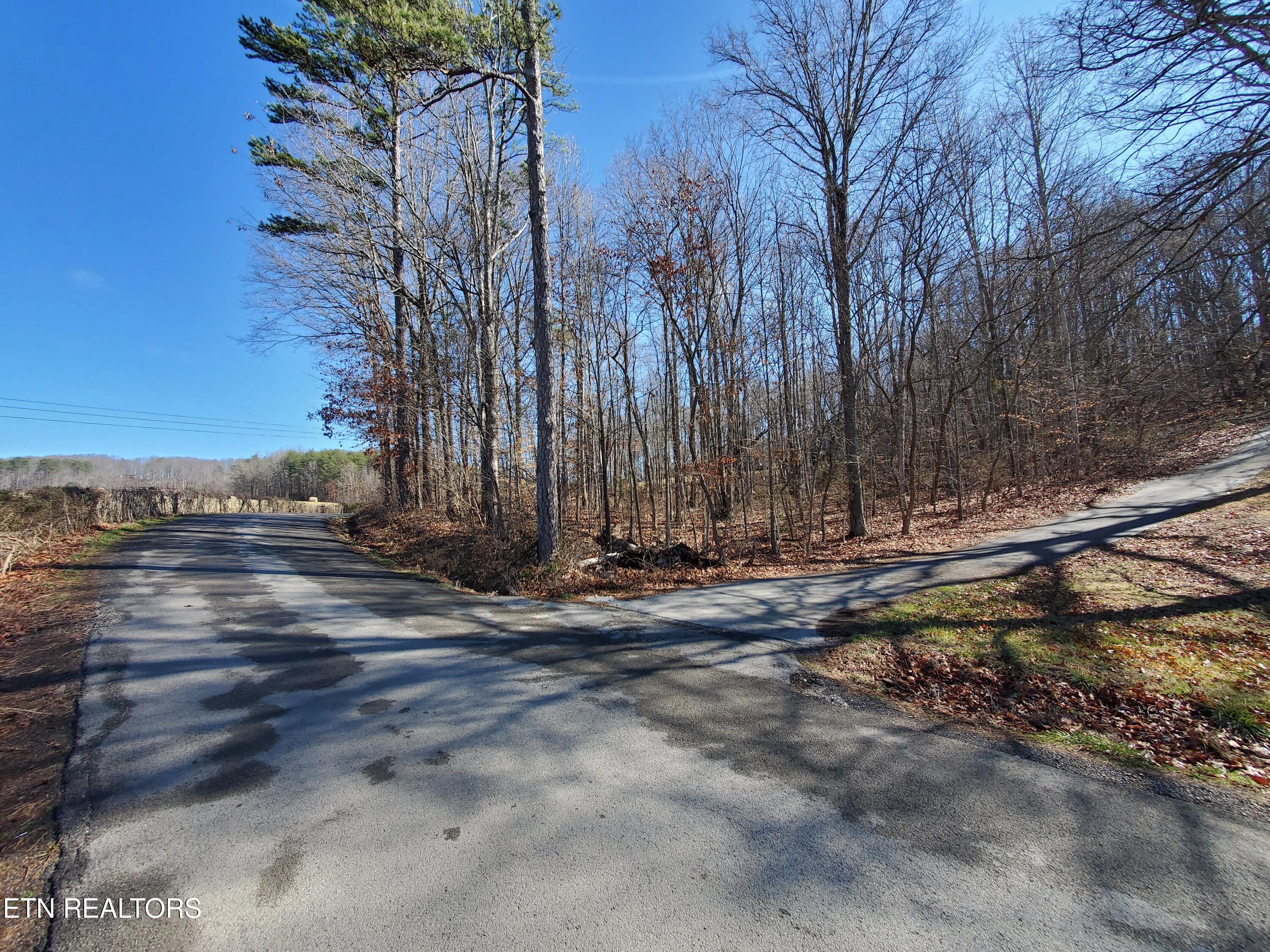 0 Lester Jarnigan Road Rutledge TN 37861