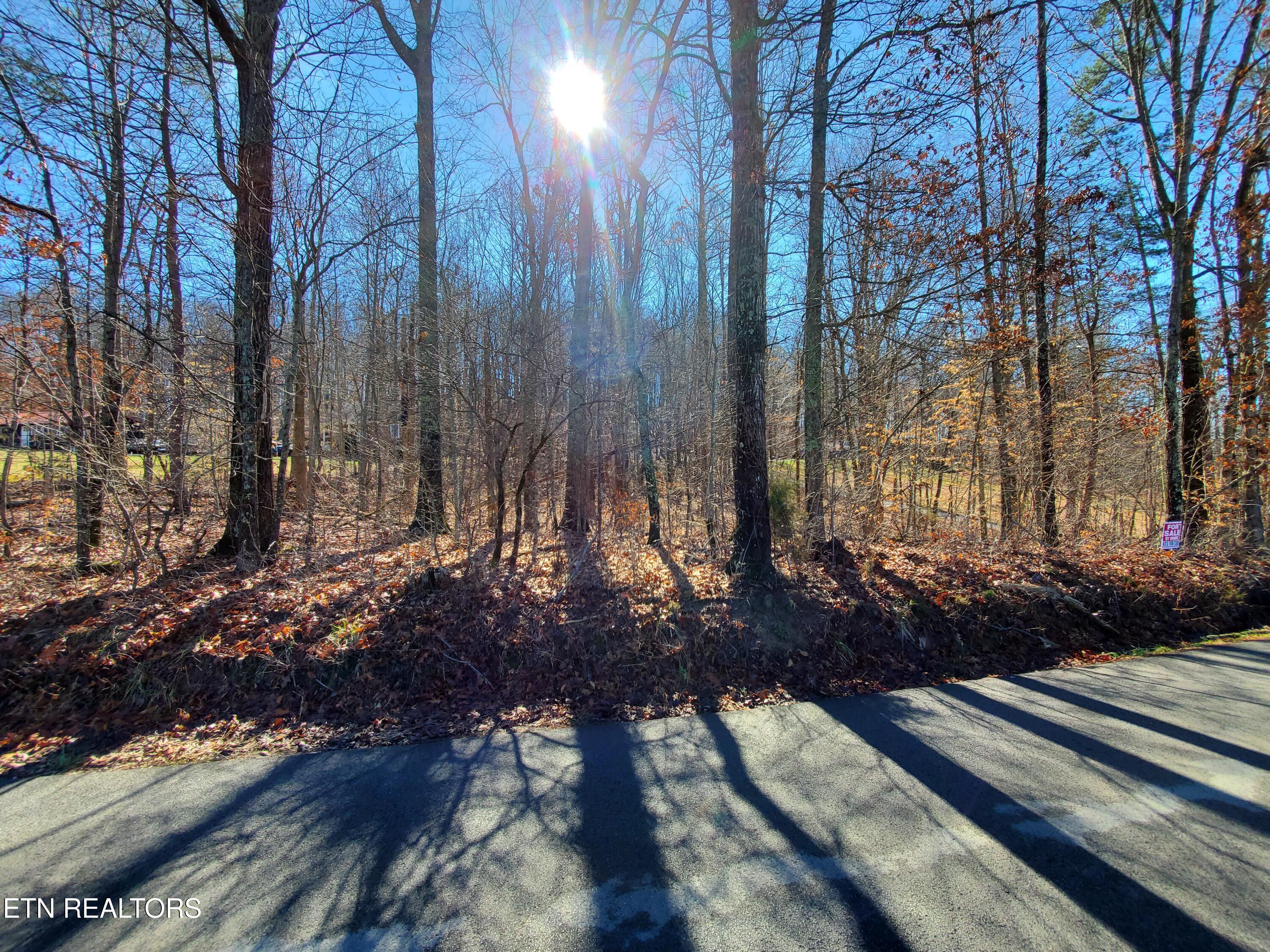 0 Lester Jarnigan Road Rutledge TN 37861