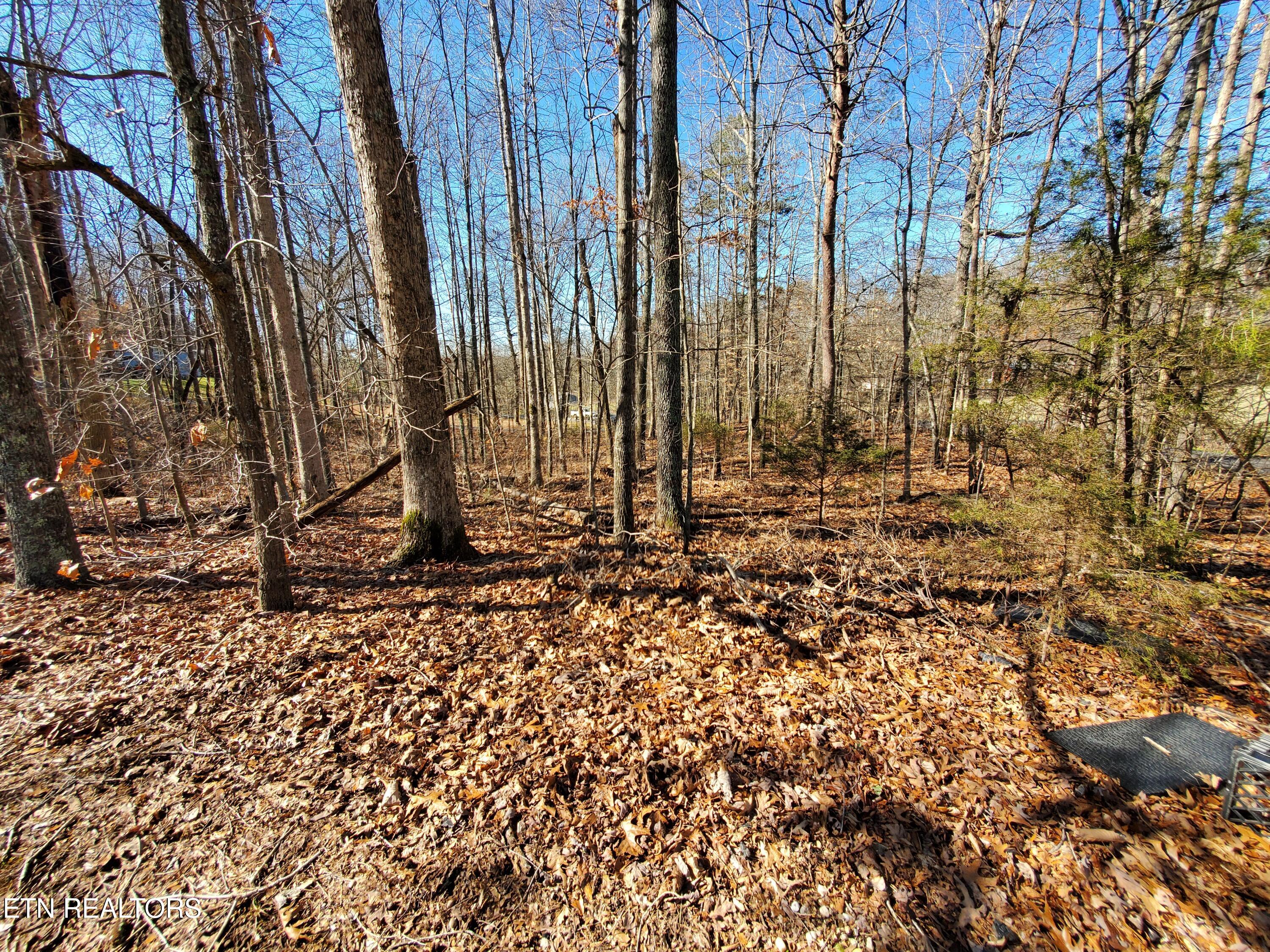 0 Lester Jarnigan Road Rutledge TN 37861