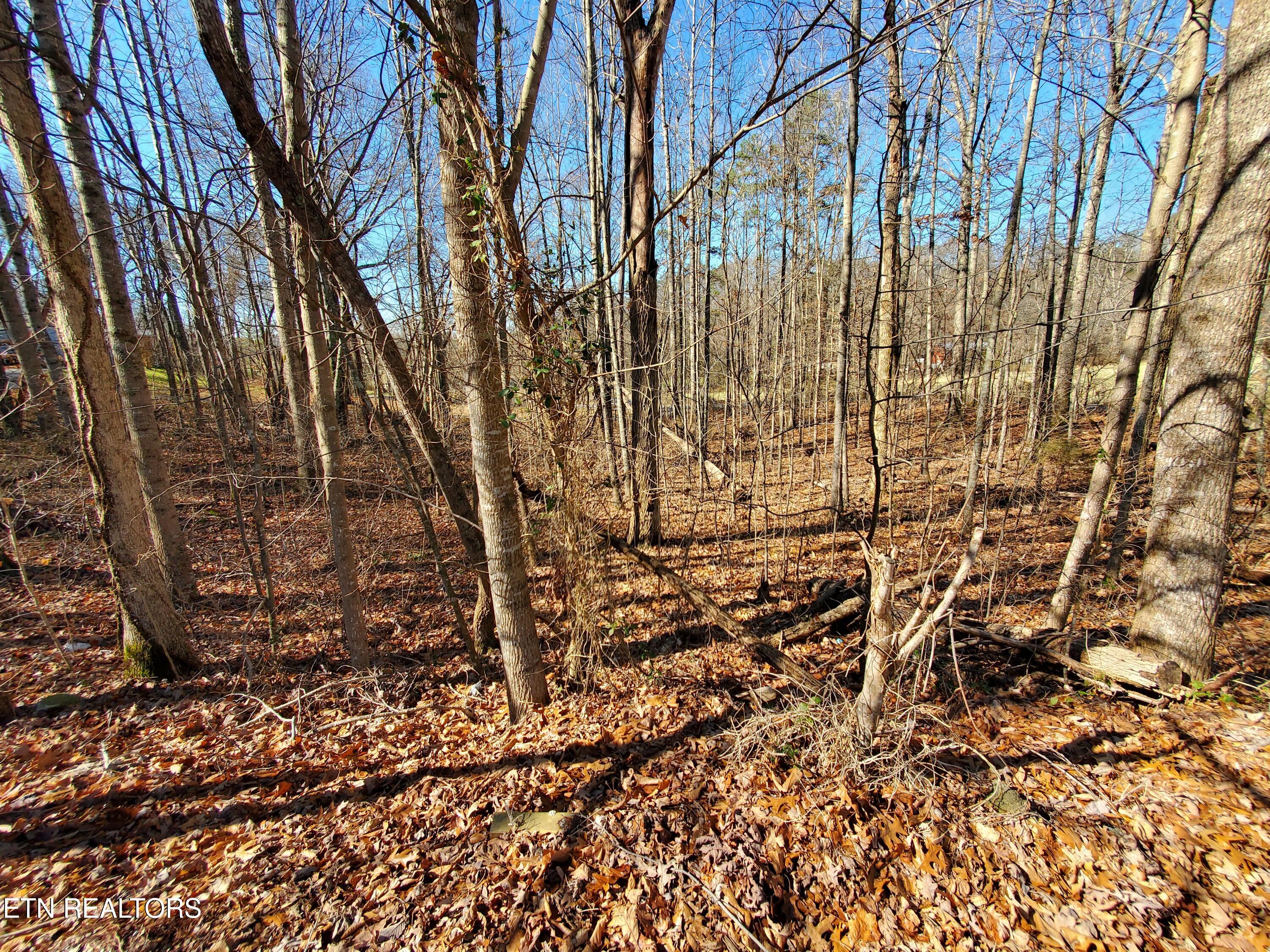 0 Lester Jarnigan Road Rutledge TN 37861