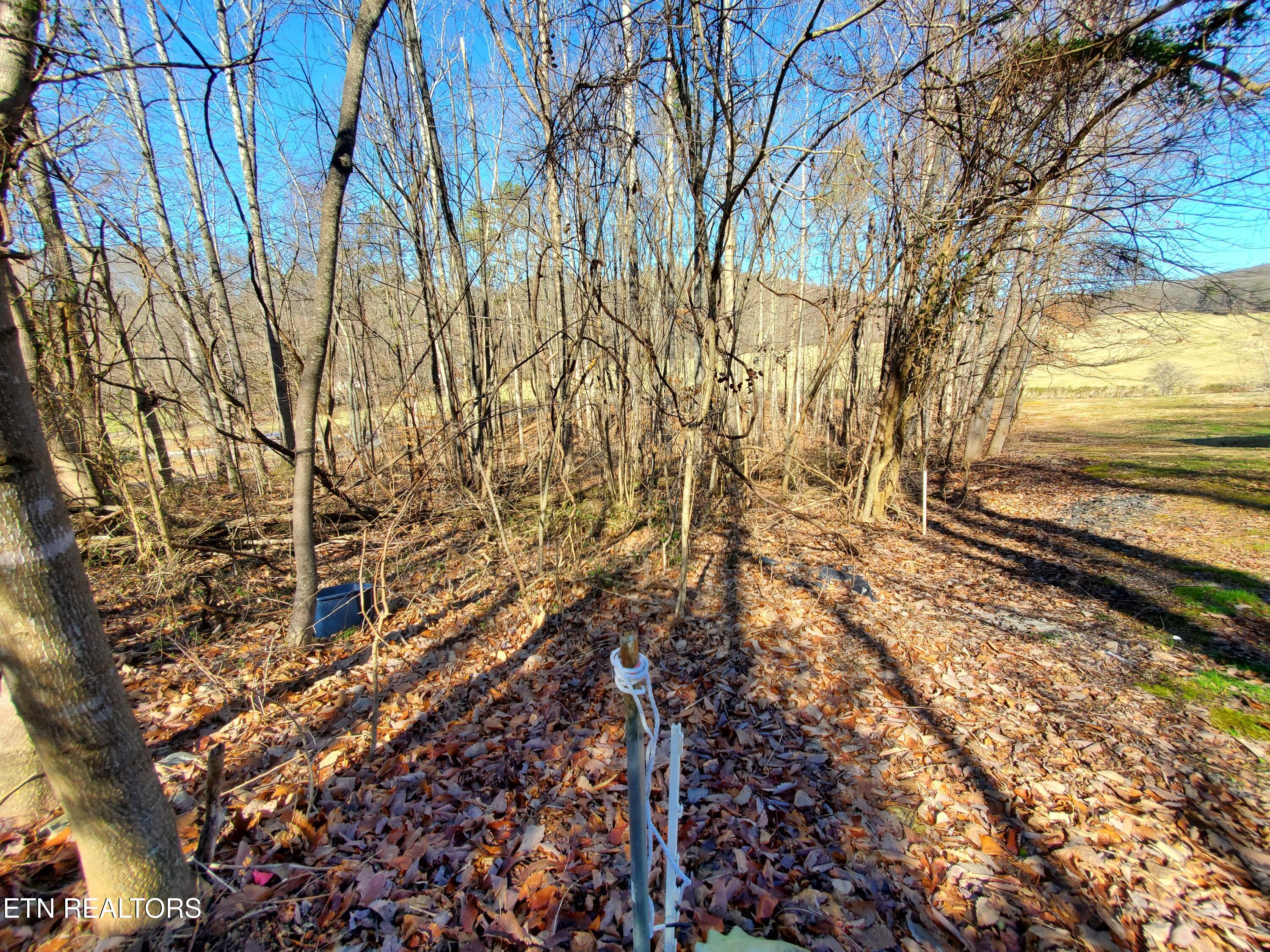 0 Lester Jarnigan Road Rutledge TN 37861