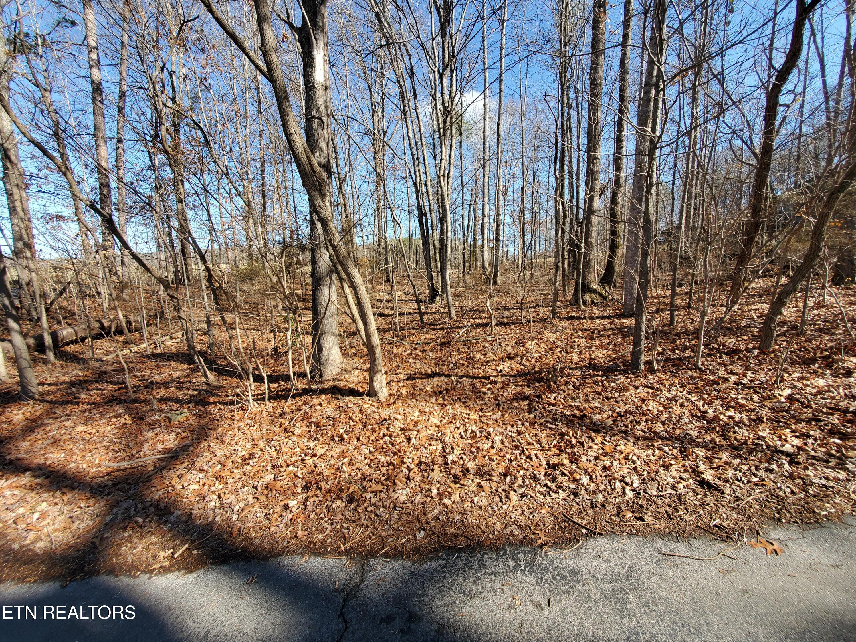 0 Lester Jarnigan Road Rutledge TN 37861