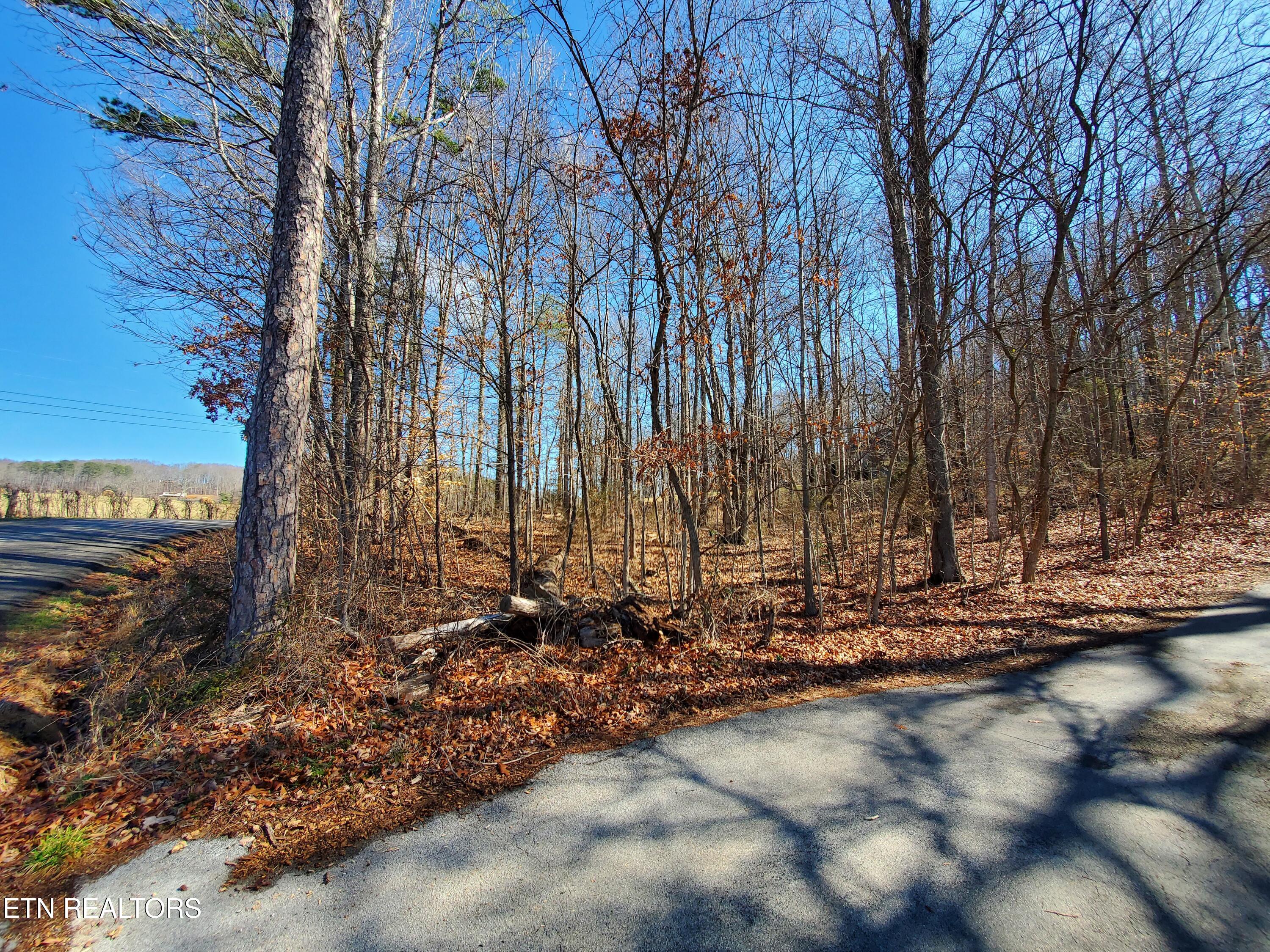 0 Lester Jarnigan Road Rutledge TN 37861