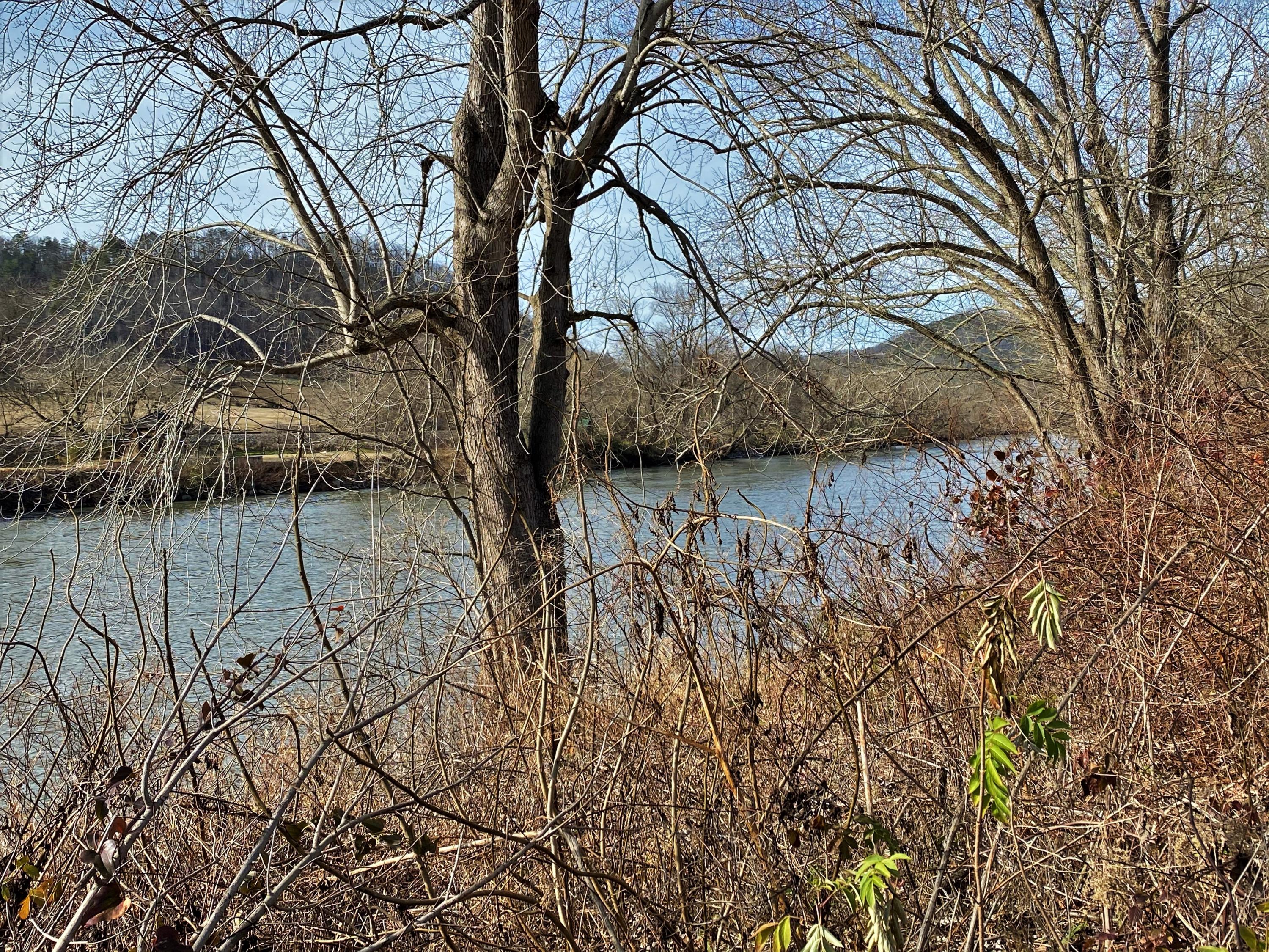 River Rapids Way Del Rio TN 37727