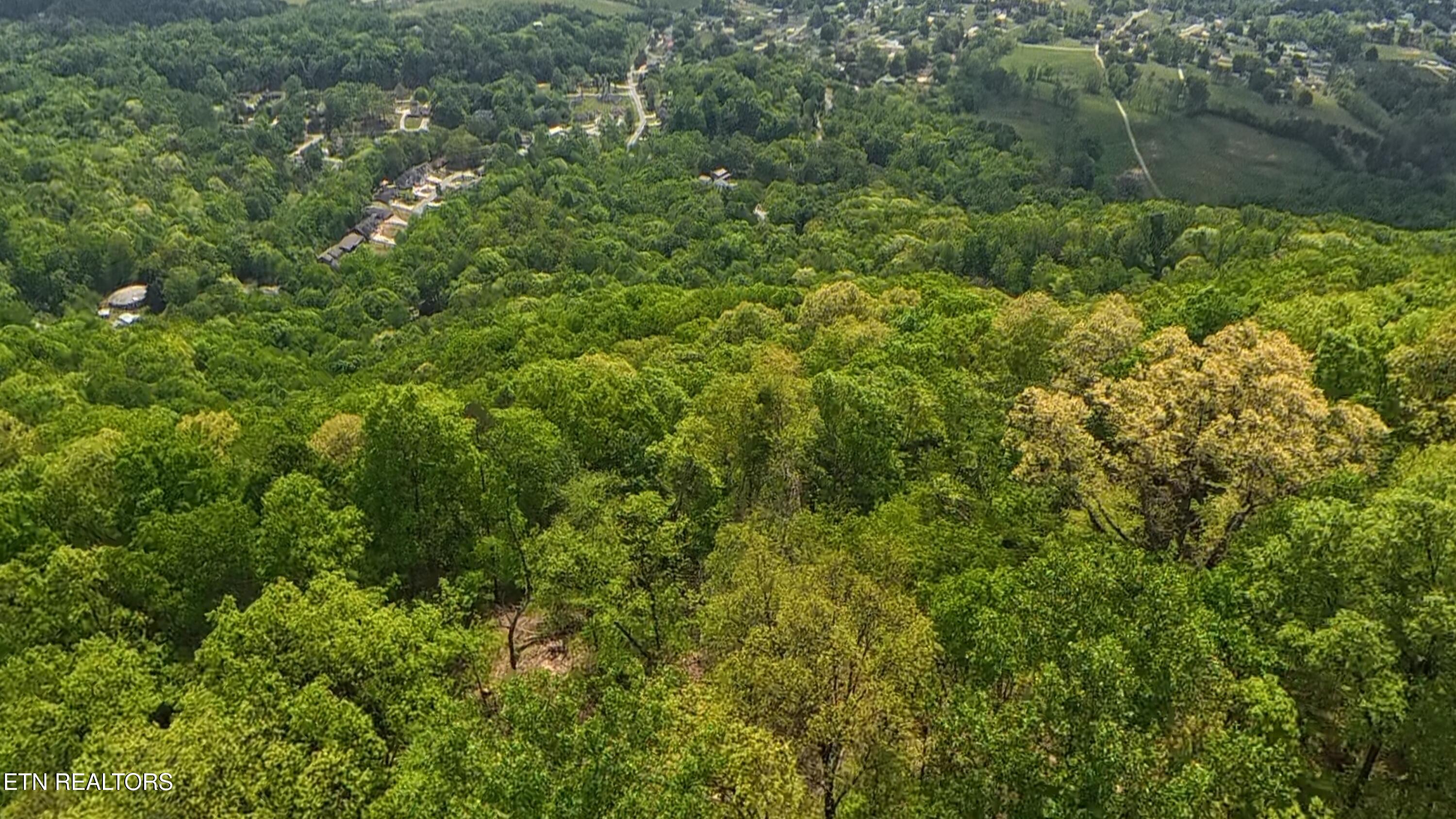 Hilltop Drive Jacksboro TN 37757