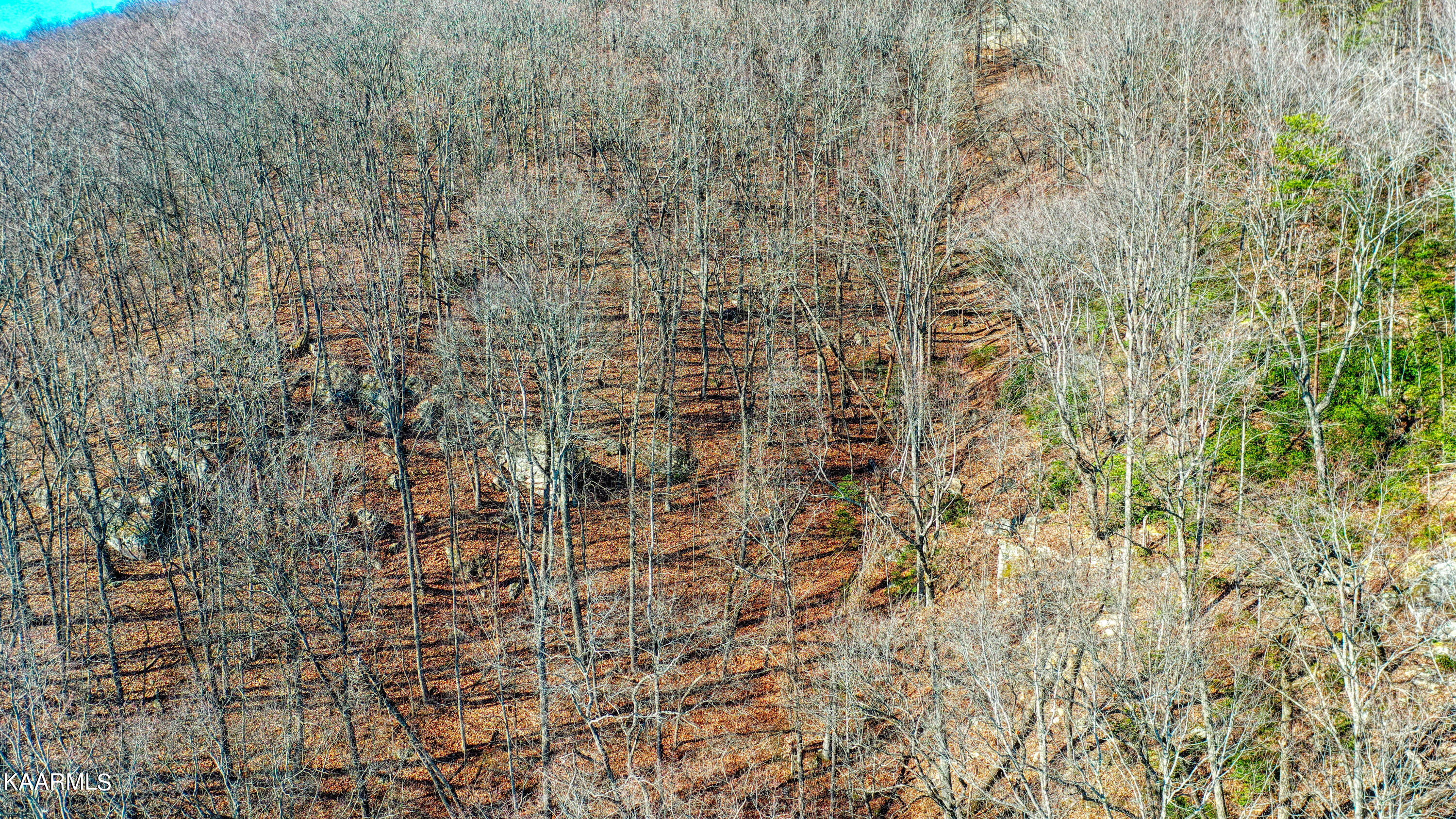 Hilltop Drive Jacksboro TN 37757