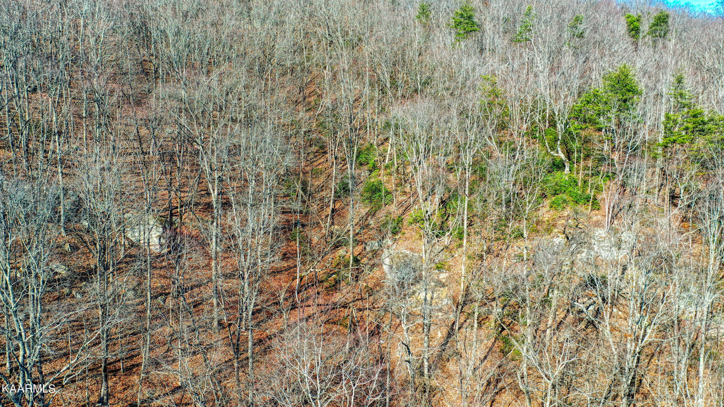 Hilltop Drive Jacksboro TN 37757