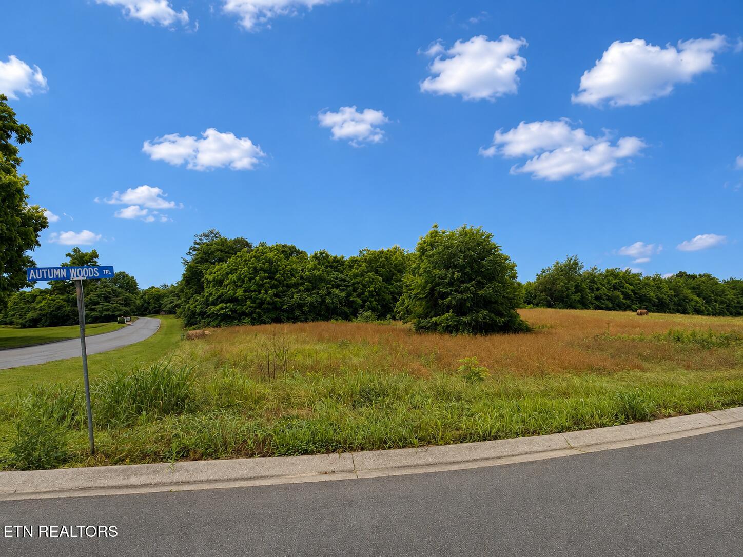 Lot 20 Autumn Woods Trail Sweetwater TN 37874