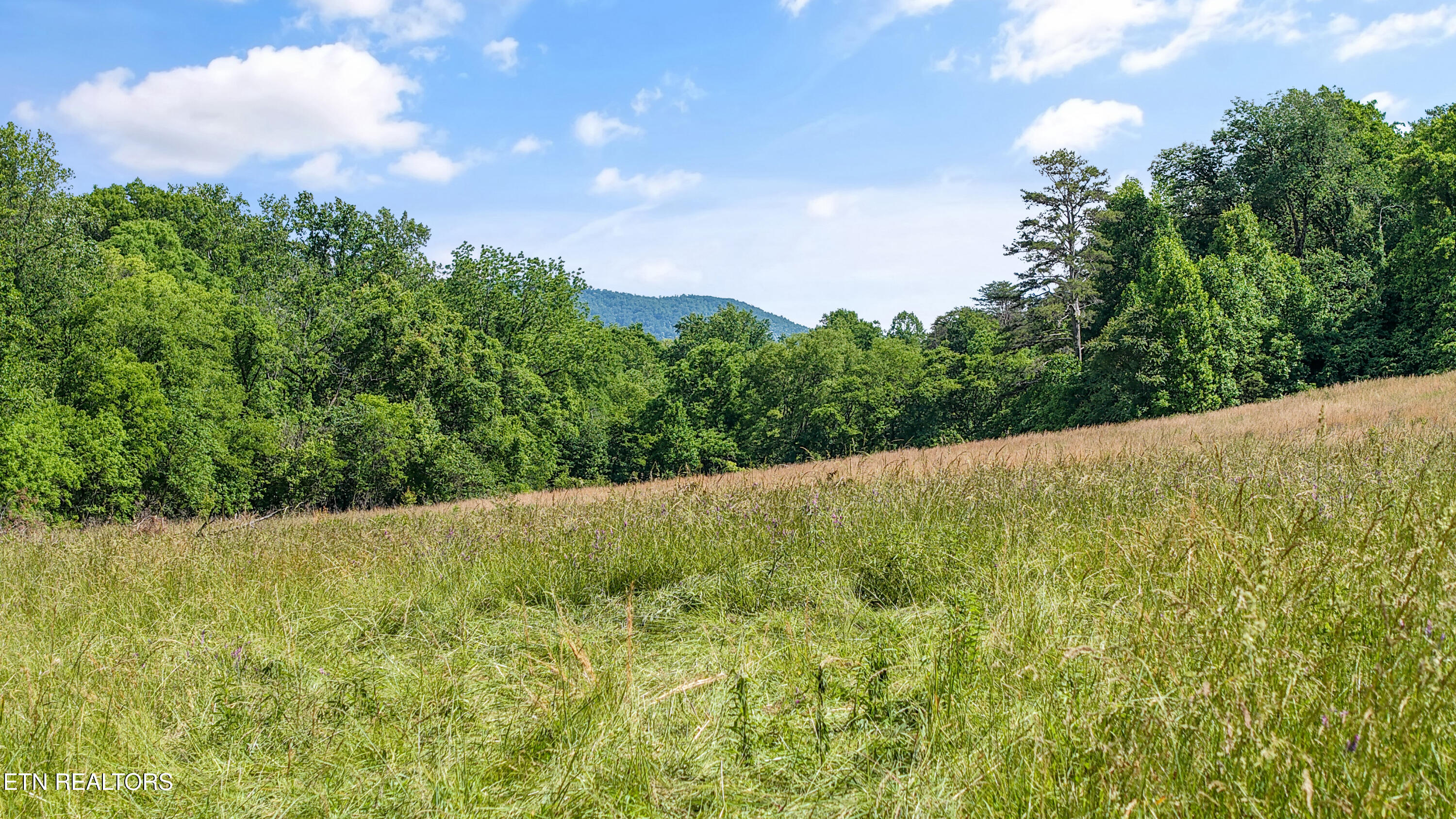 Baumgardner Road Maryville TN 37803
