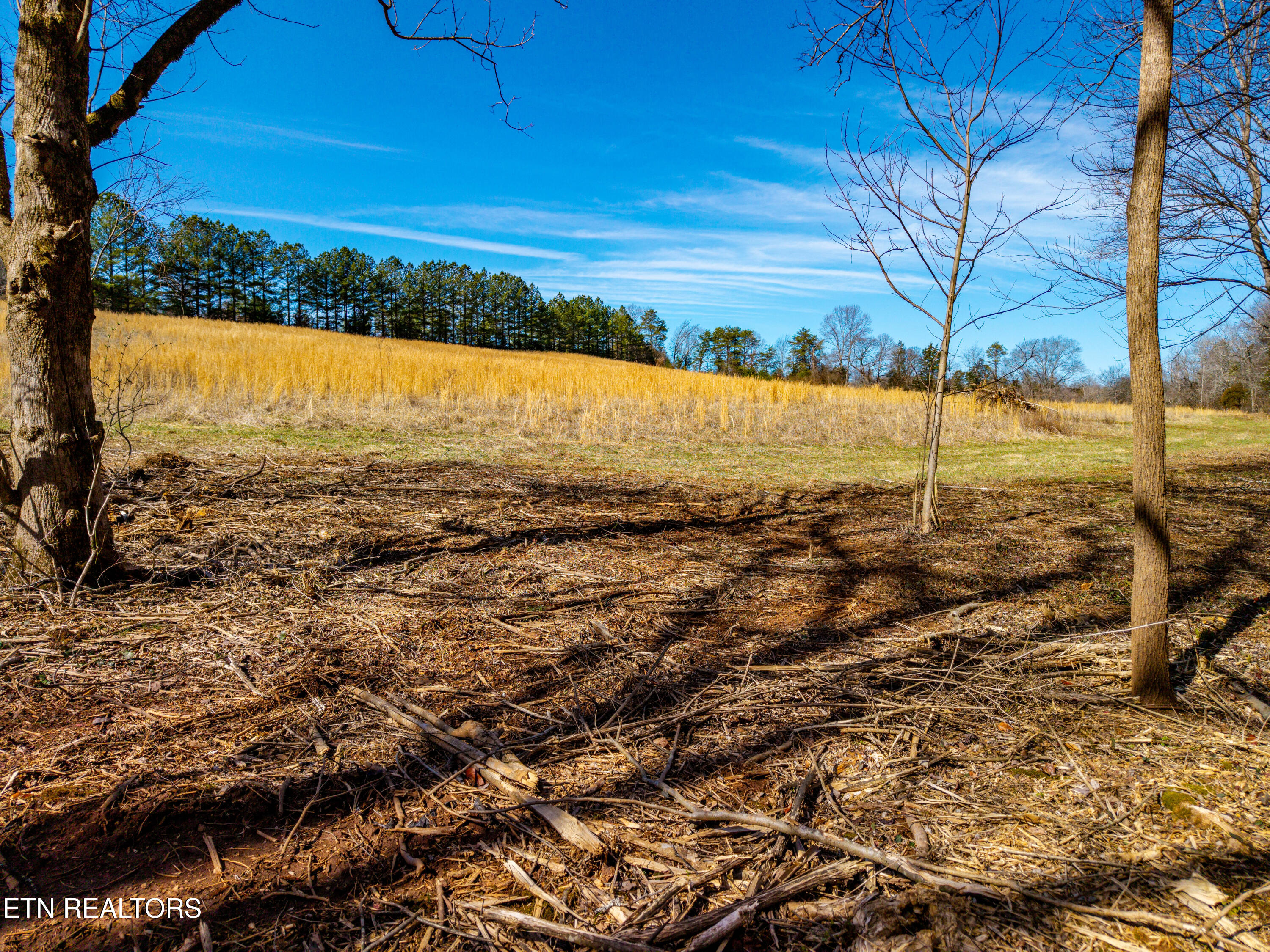 Baumgardner Road Maryville TN 37803