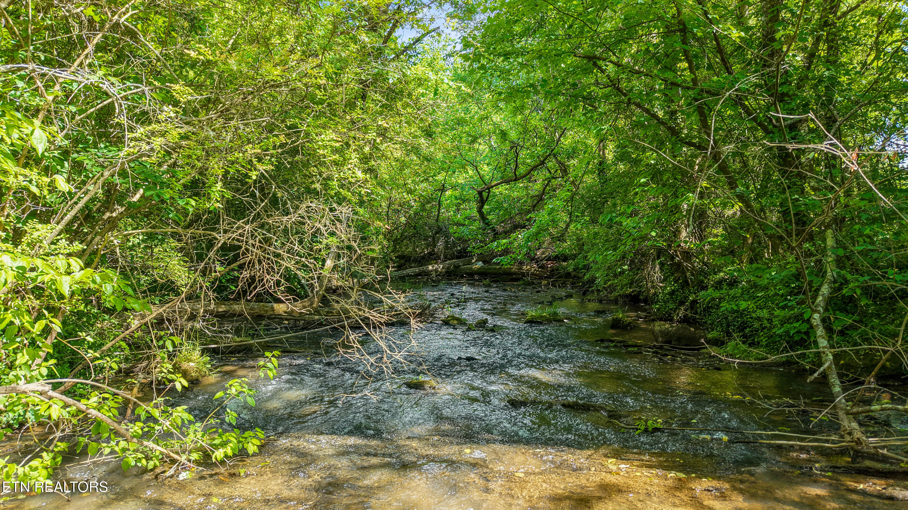 Baumgardner Road Maryville TN 37803
