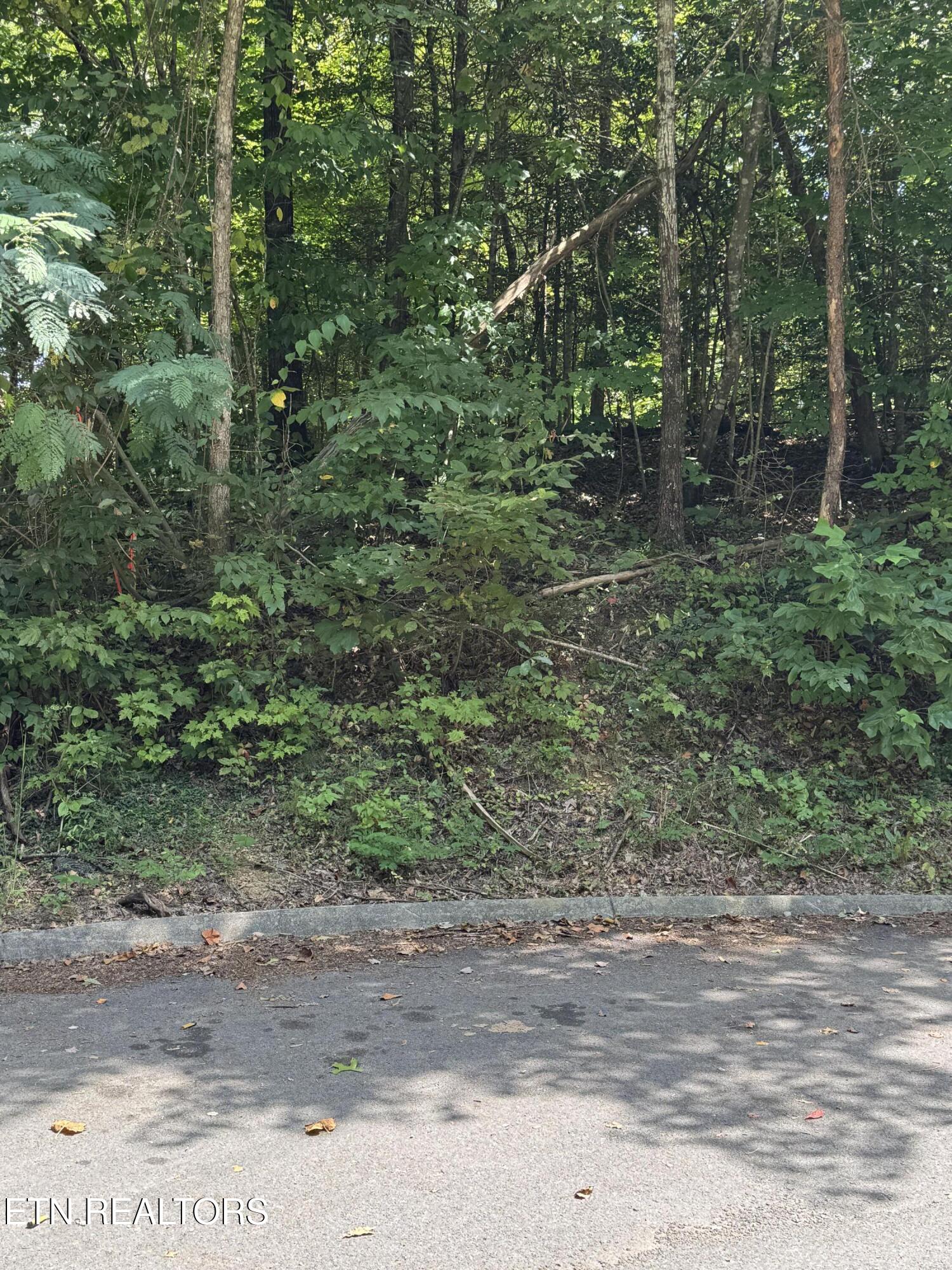 S. B. Ogle Lane Sevierville TN 37863