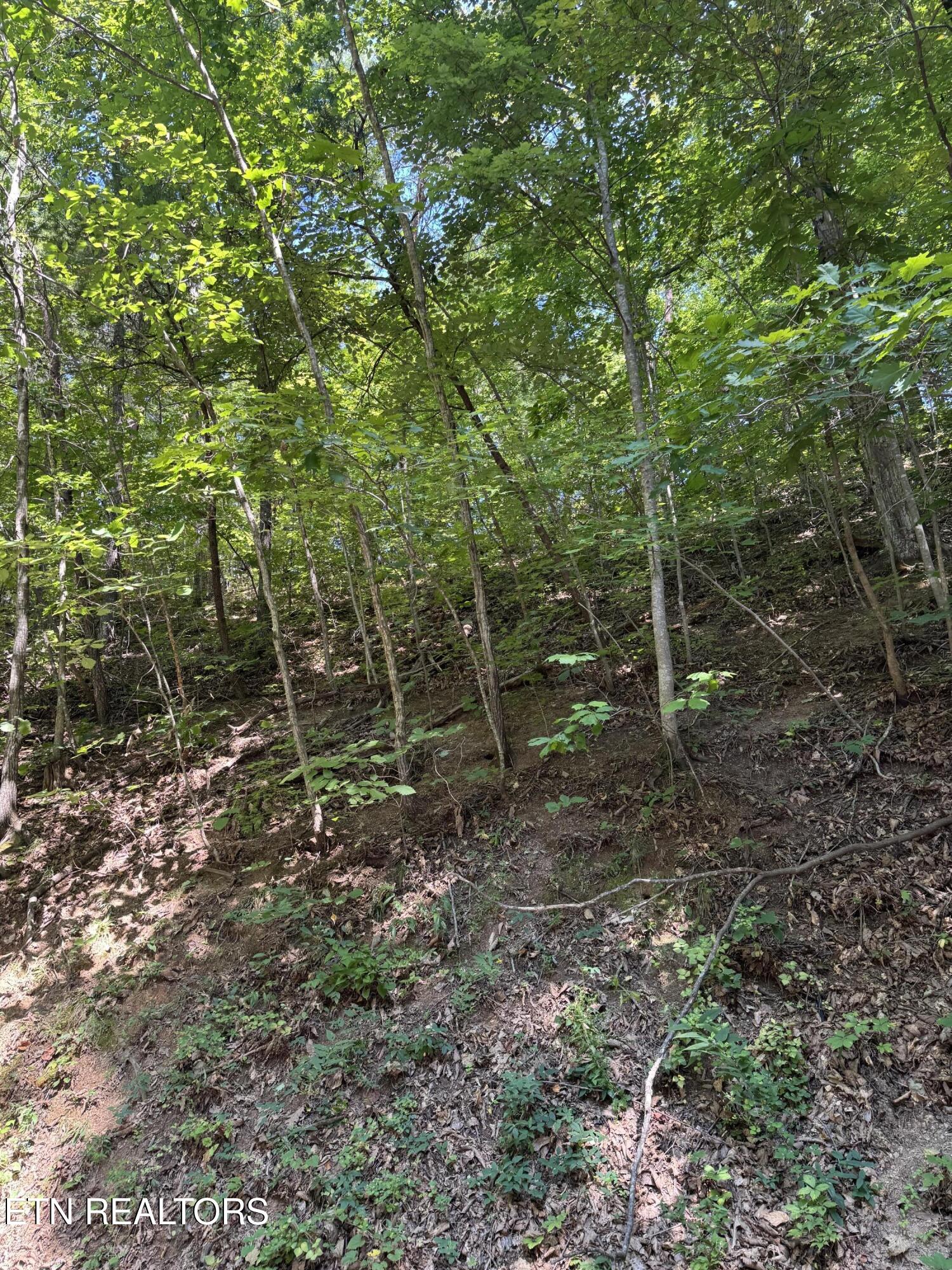 S. B. Ogle Lane Sevierville TN 37863