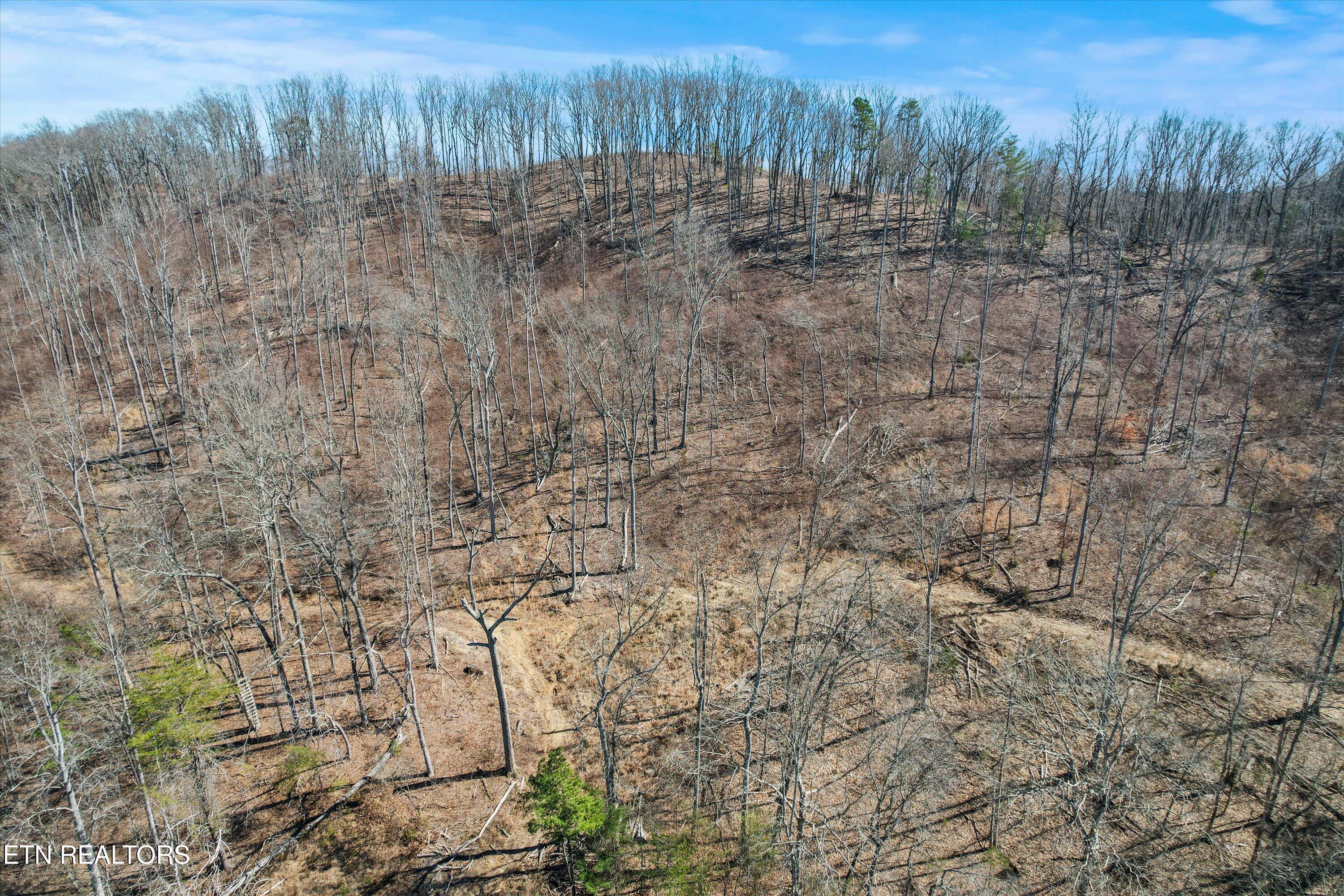 0 Paint Rock Valley Road Philadelphia TN 37846