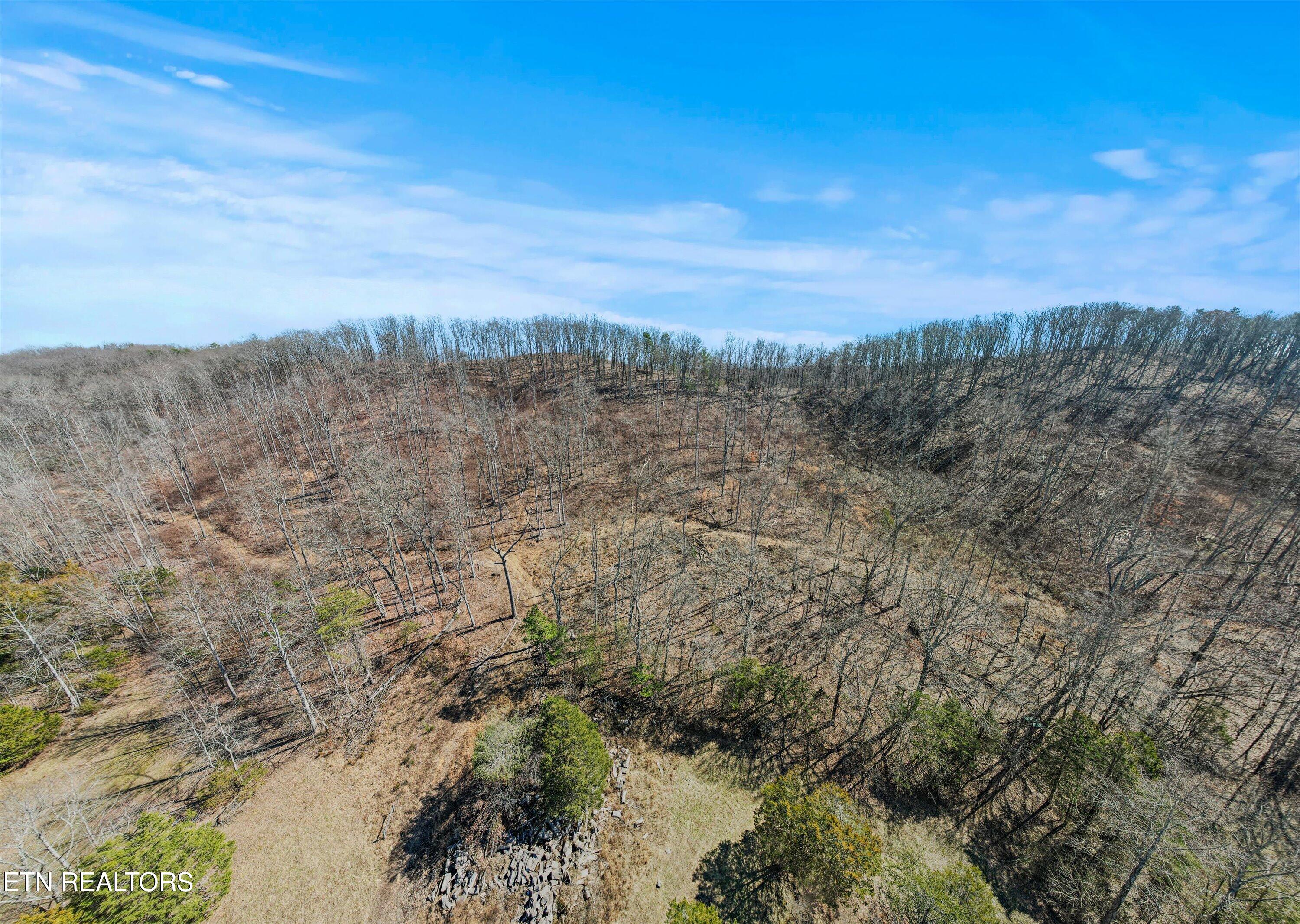 0 Paint Rock Valley Road Philadelphia TN 37846