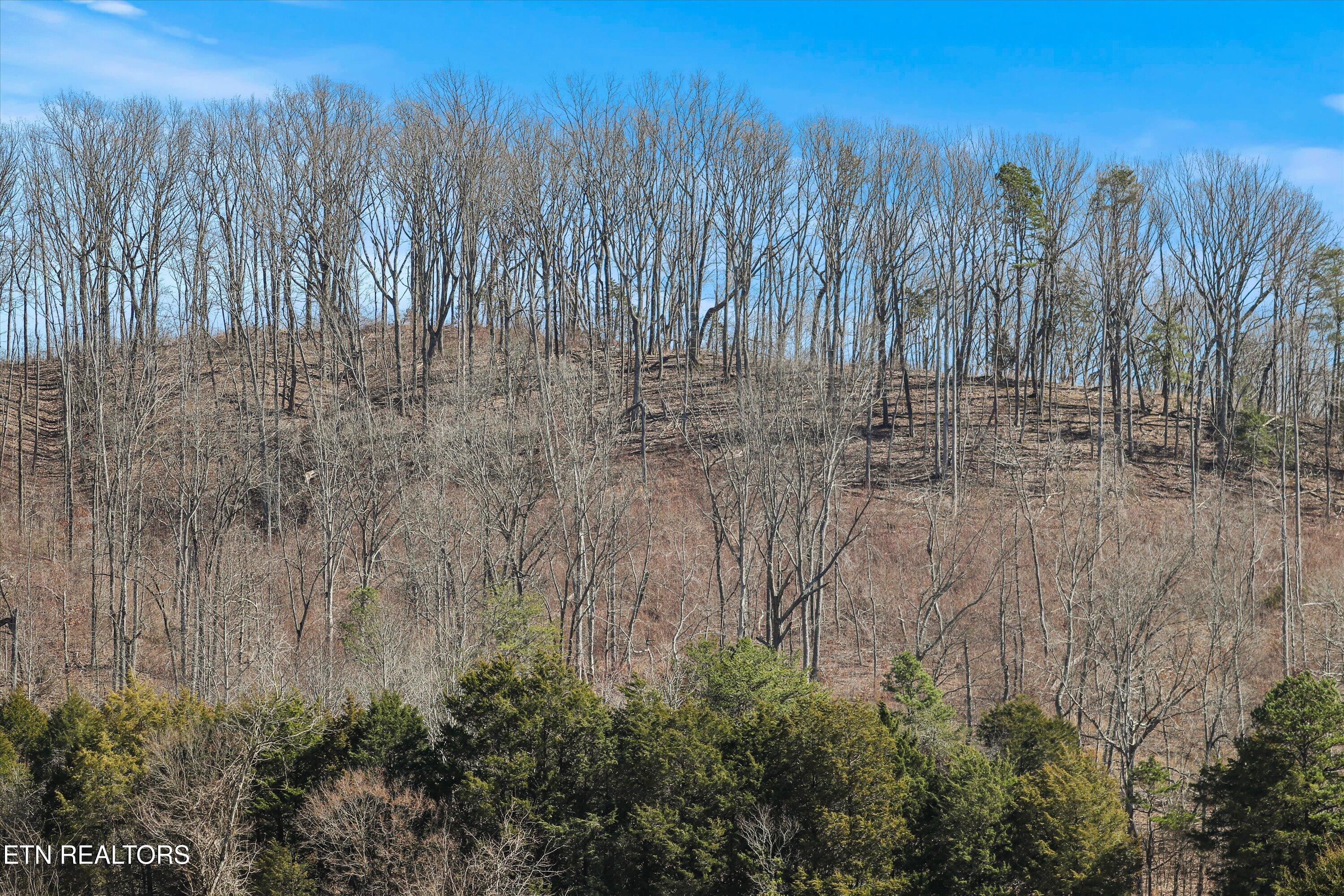 0 Paint Rock Valley Road Philadelphia TN 37846