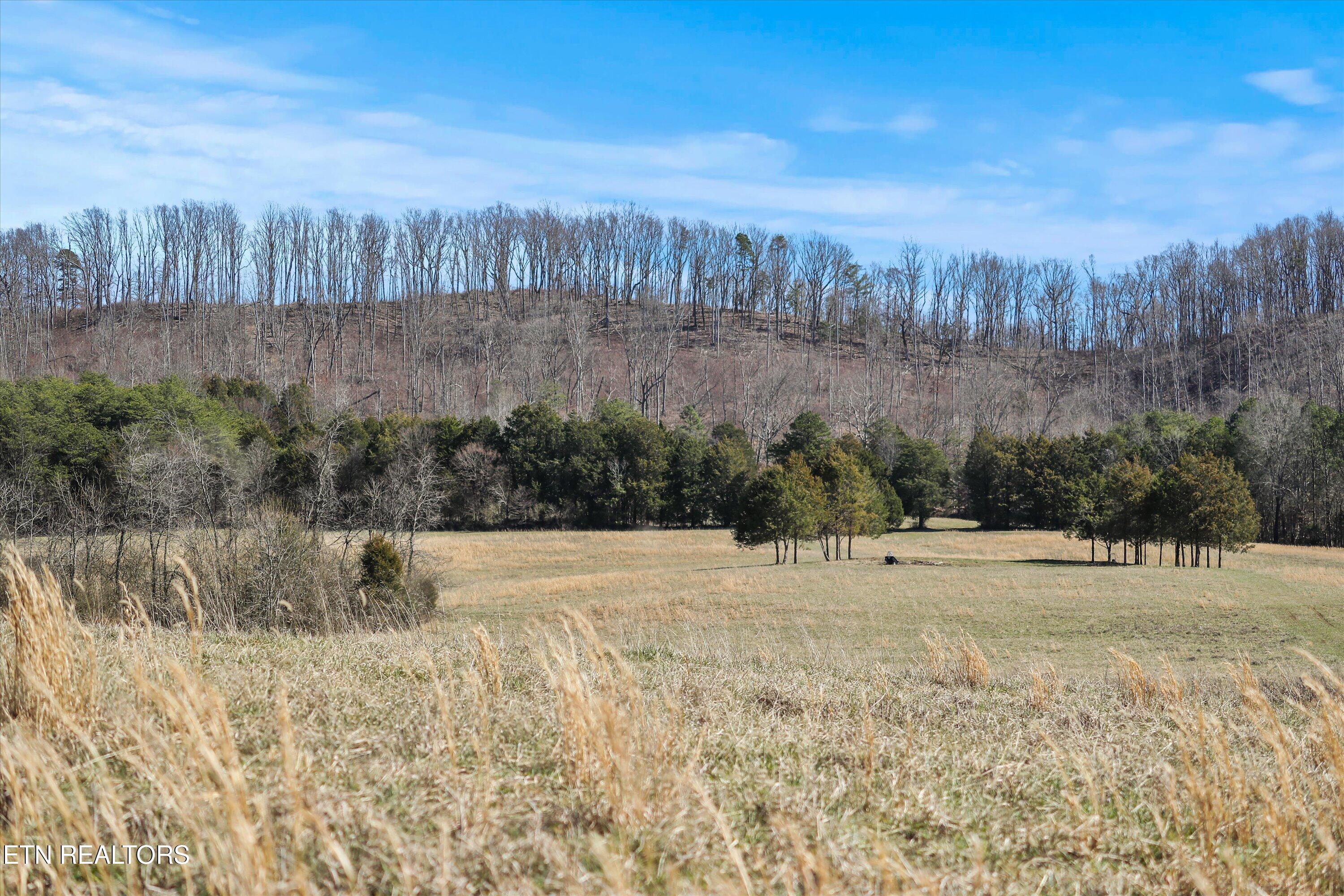 0 Paint Rock Valley Road Philadelphia TN 37846