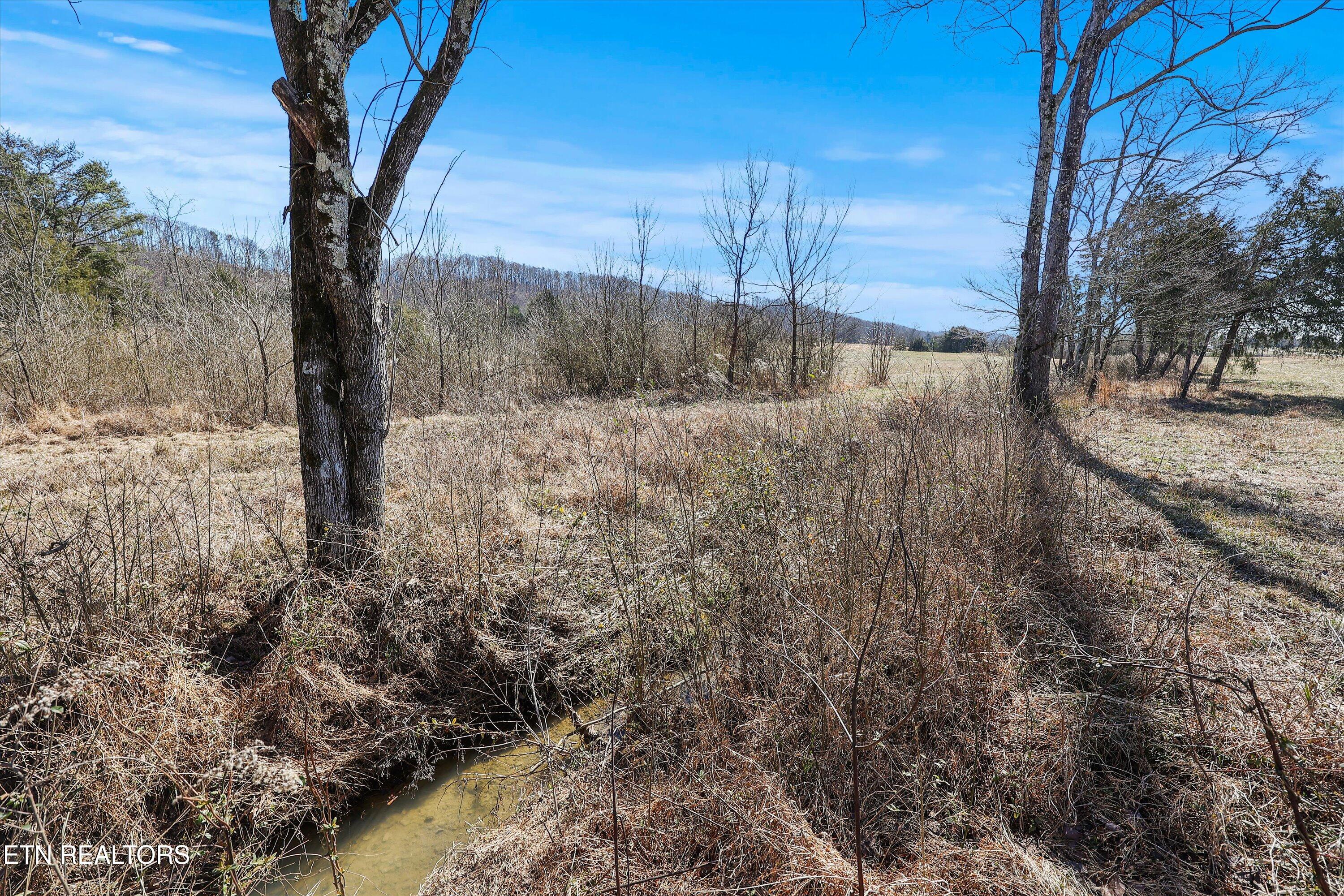 0 Paint Rock Valley Road Philadelphia TN 37846