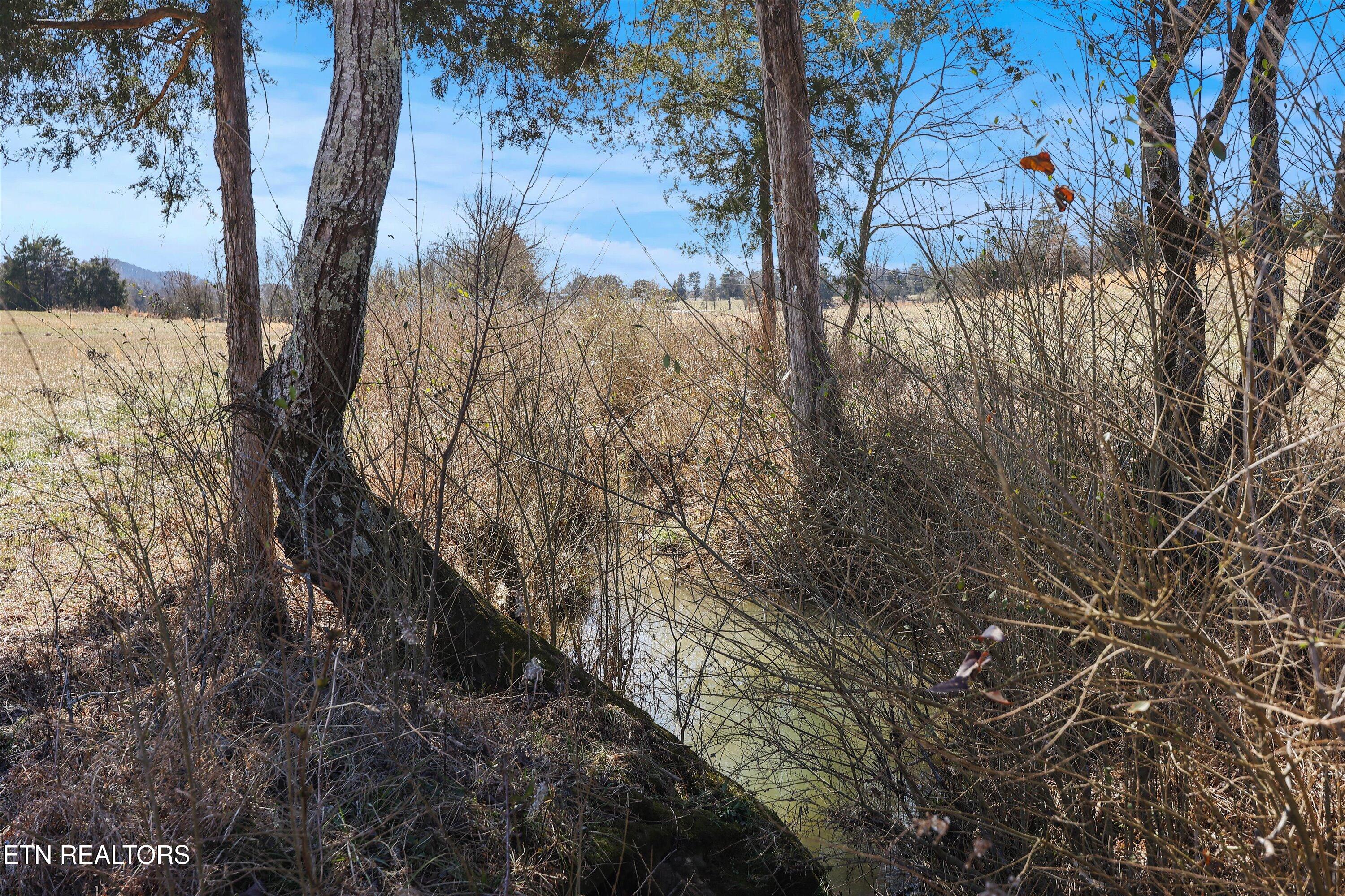 0 Paint Rock Valley Road Philadelphia TN 37846