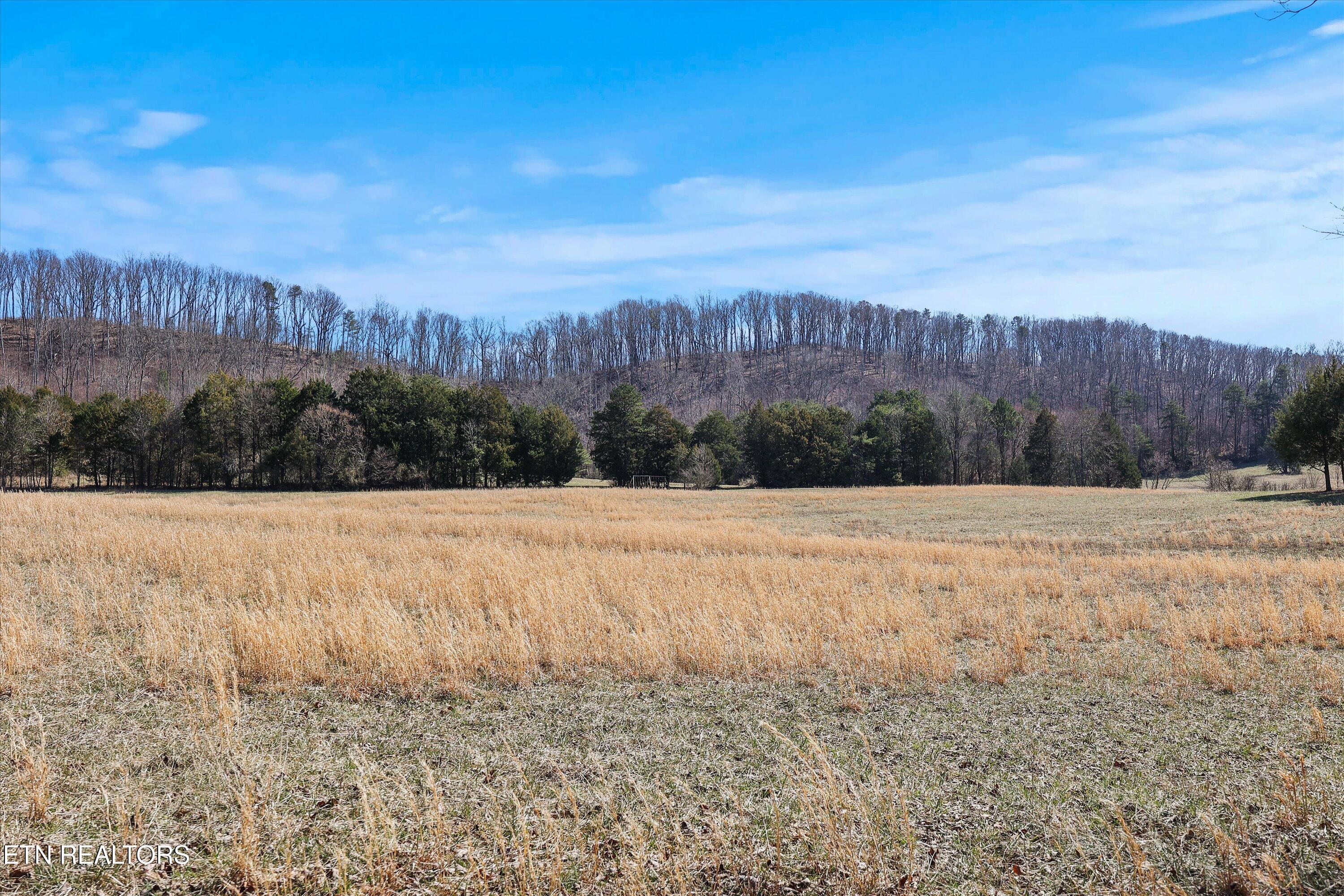 0 Paint Rock Valley Road Philadelphia TN 37846