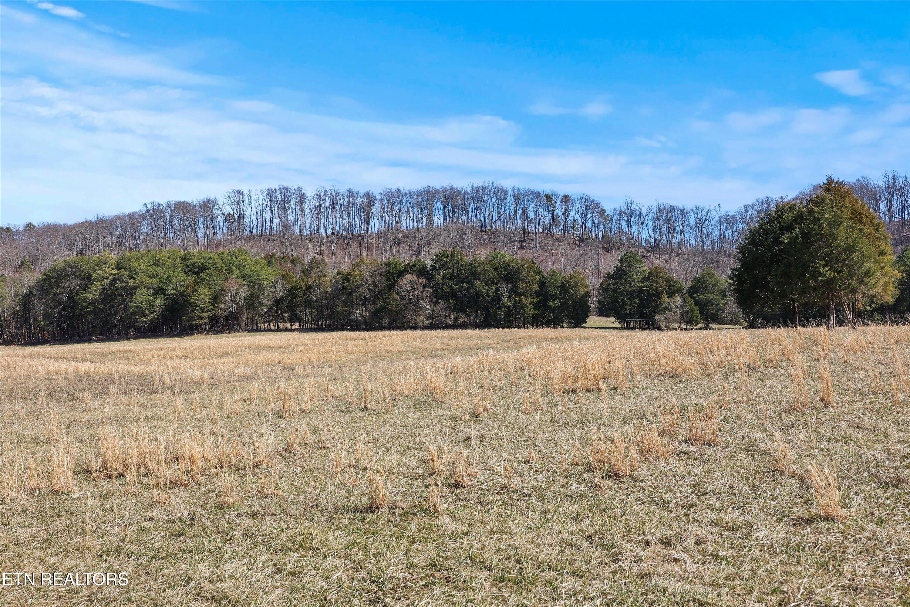 0 Paint Rock Valley Road Philadelphia TN 37846