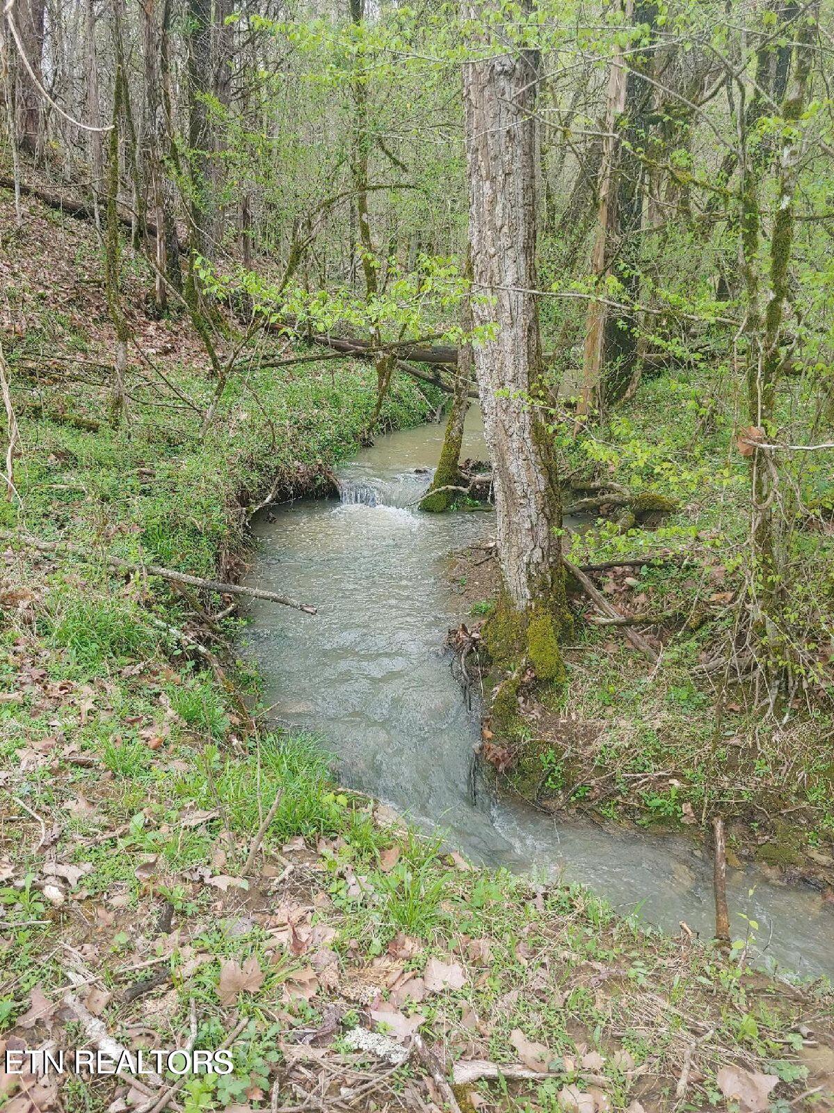 0 Brownlow Newman Lane Knoxville TN 37914