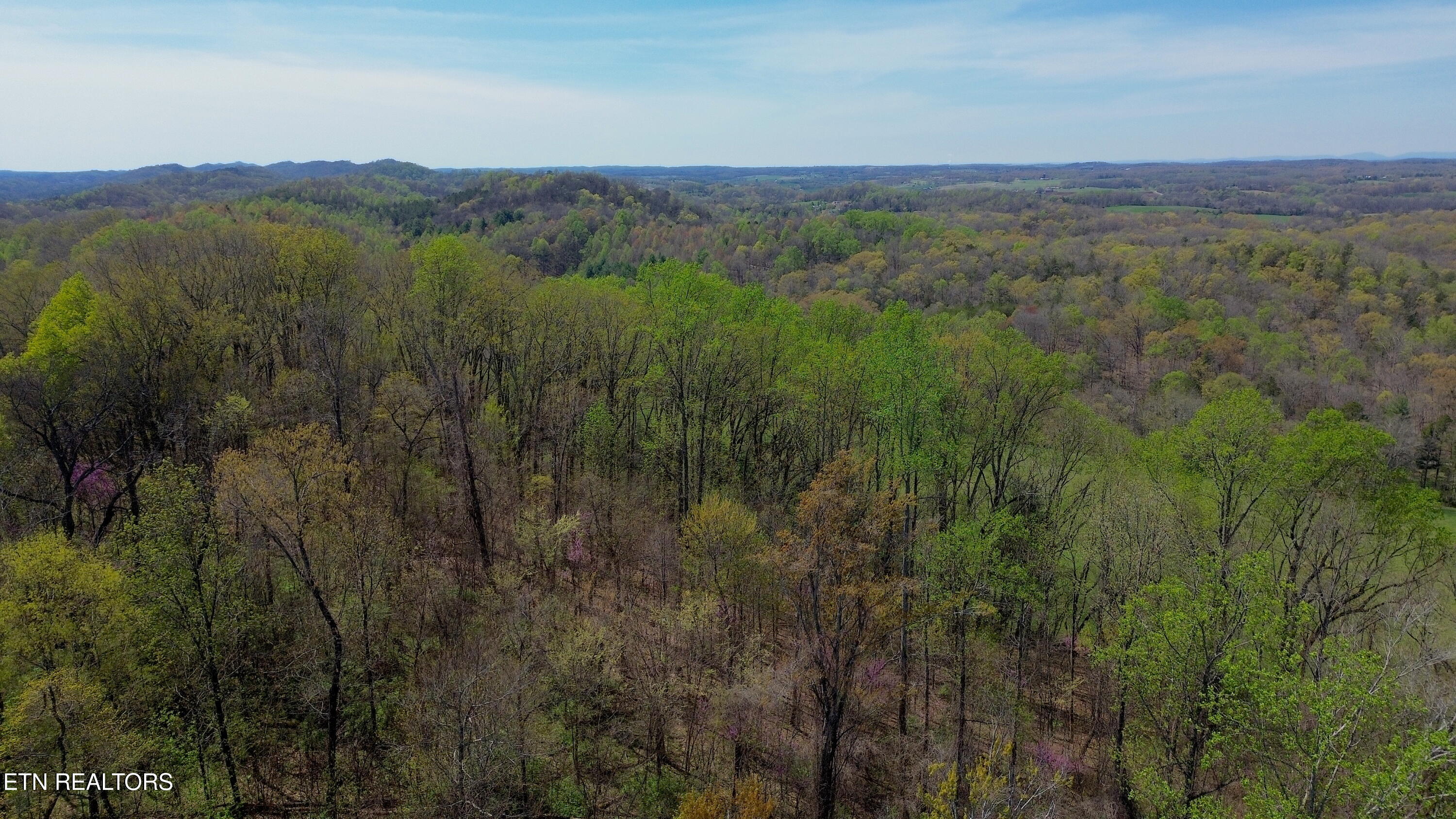 0 Knob Road Vonore TN 37885