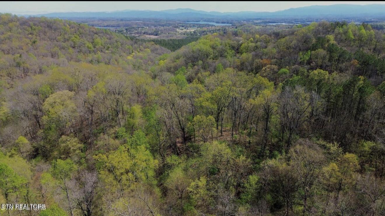 0 Knob Road Vonore TN 37885
