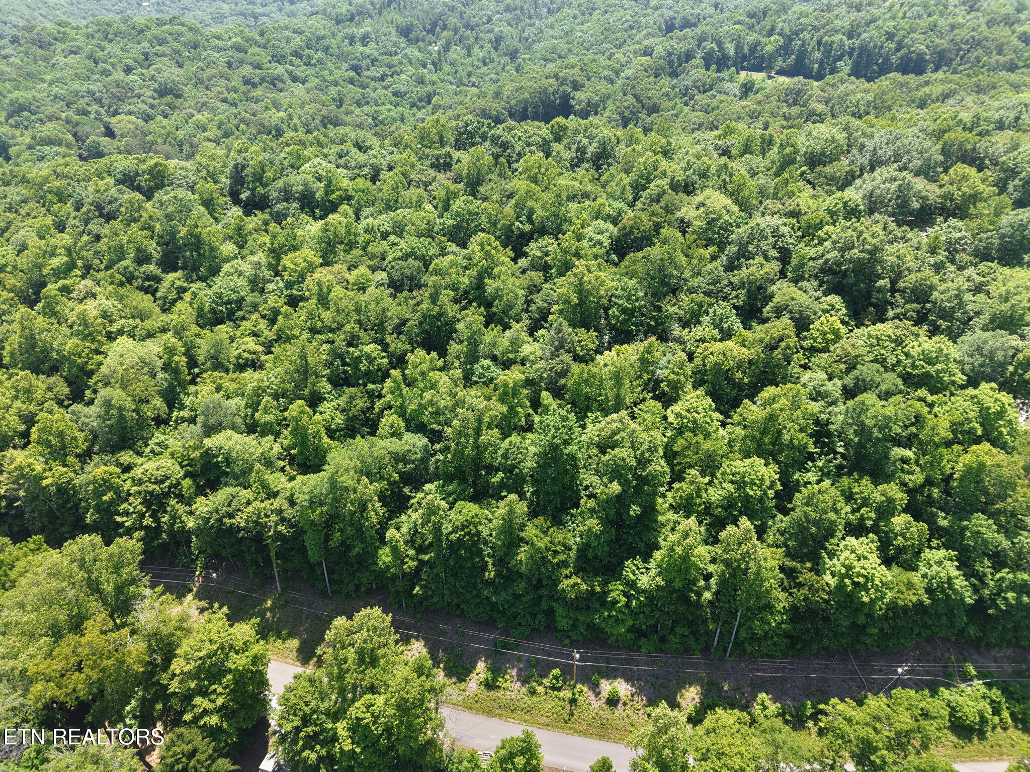 Yoakum Hollow Road Jacksboro TN 37757