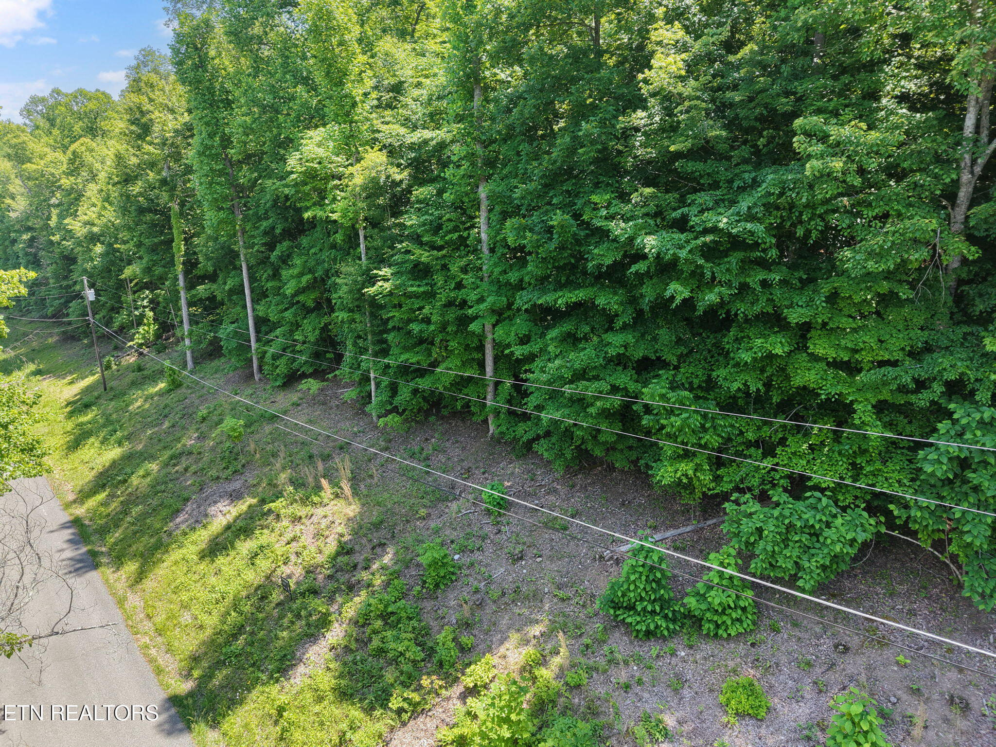 Yoakum Hollow Road Jacksboro TN 37757