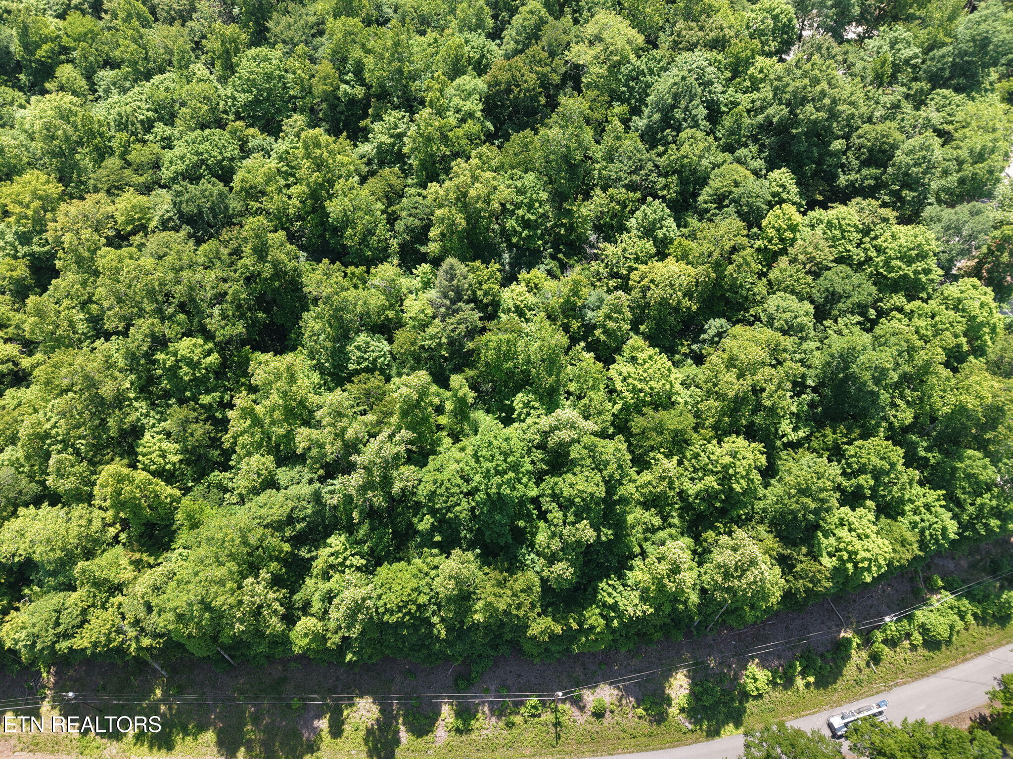 Yoakum Hollow Road Jacksboro TN 37757