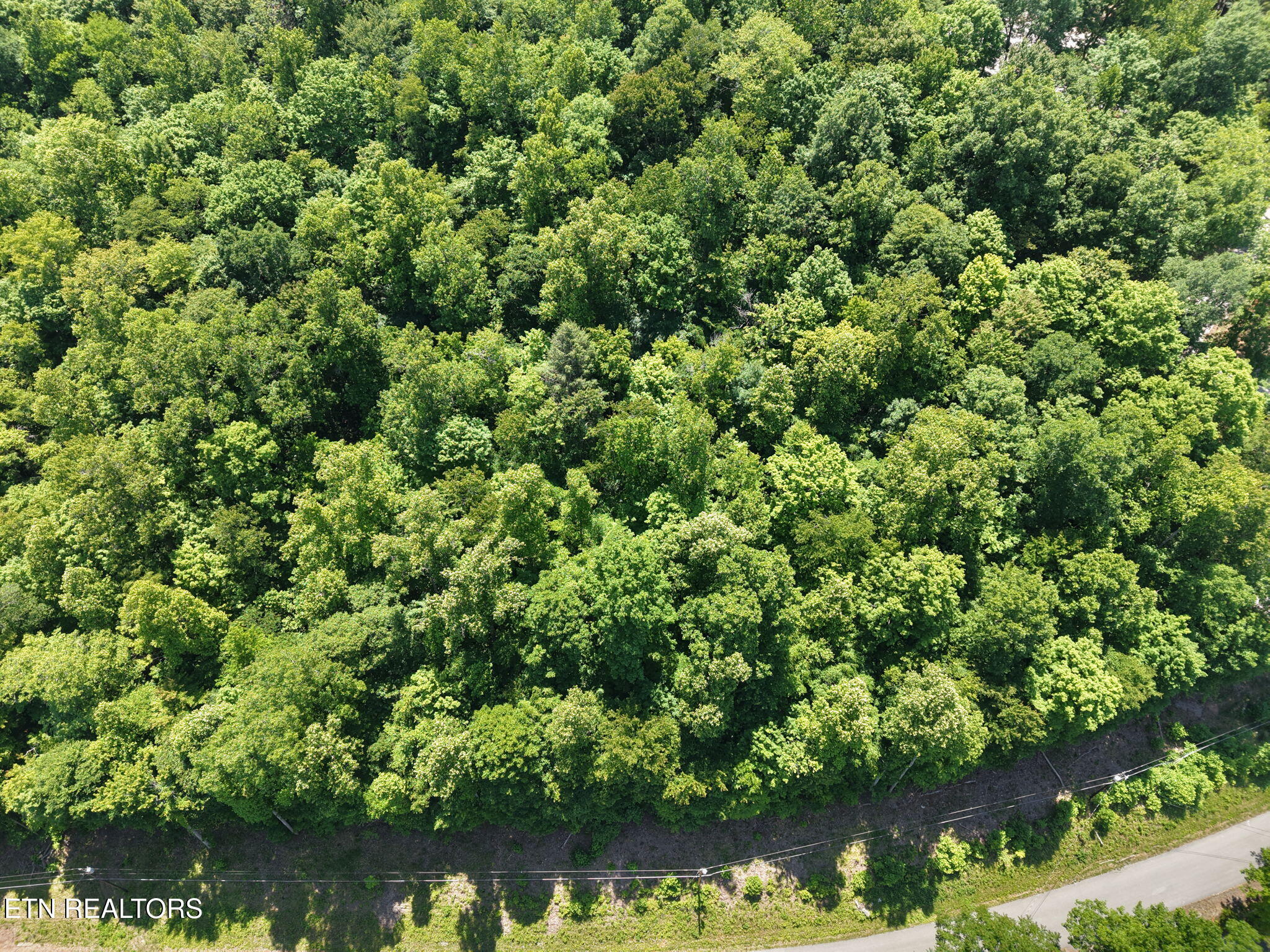 Yoakum Hollow Road Jacksboro TN 37757