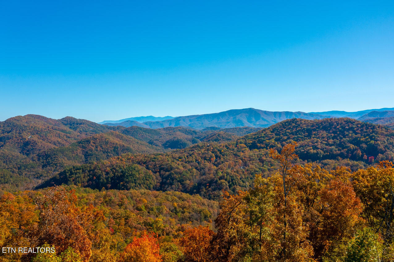 4903 Long Rifle Road Walland TN 37886