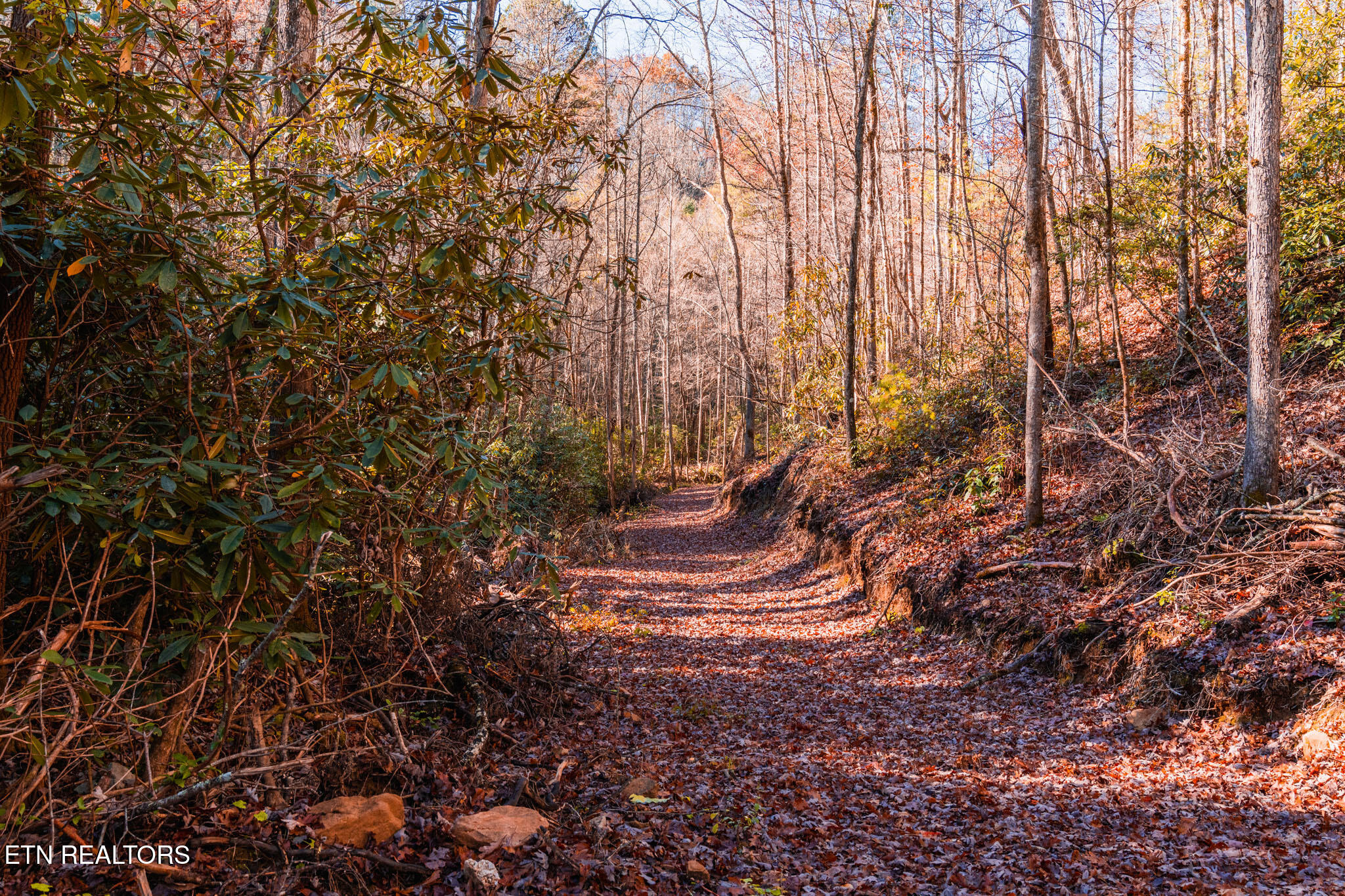 4903 Long Rifle Road Walland TN 37886
