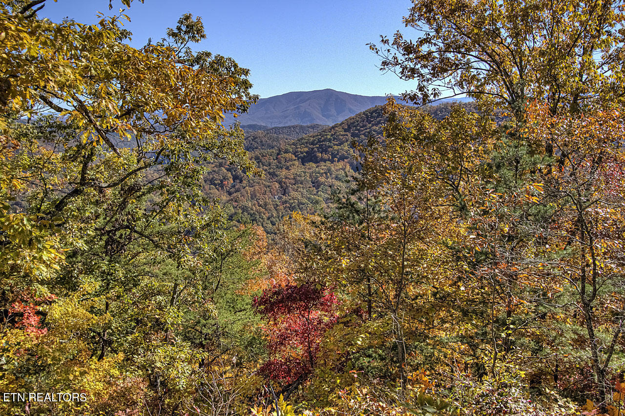 4903 Long Rifle Road Walland TN 37886