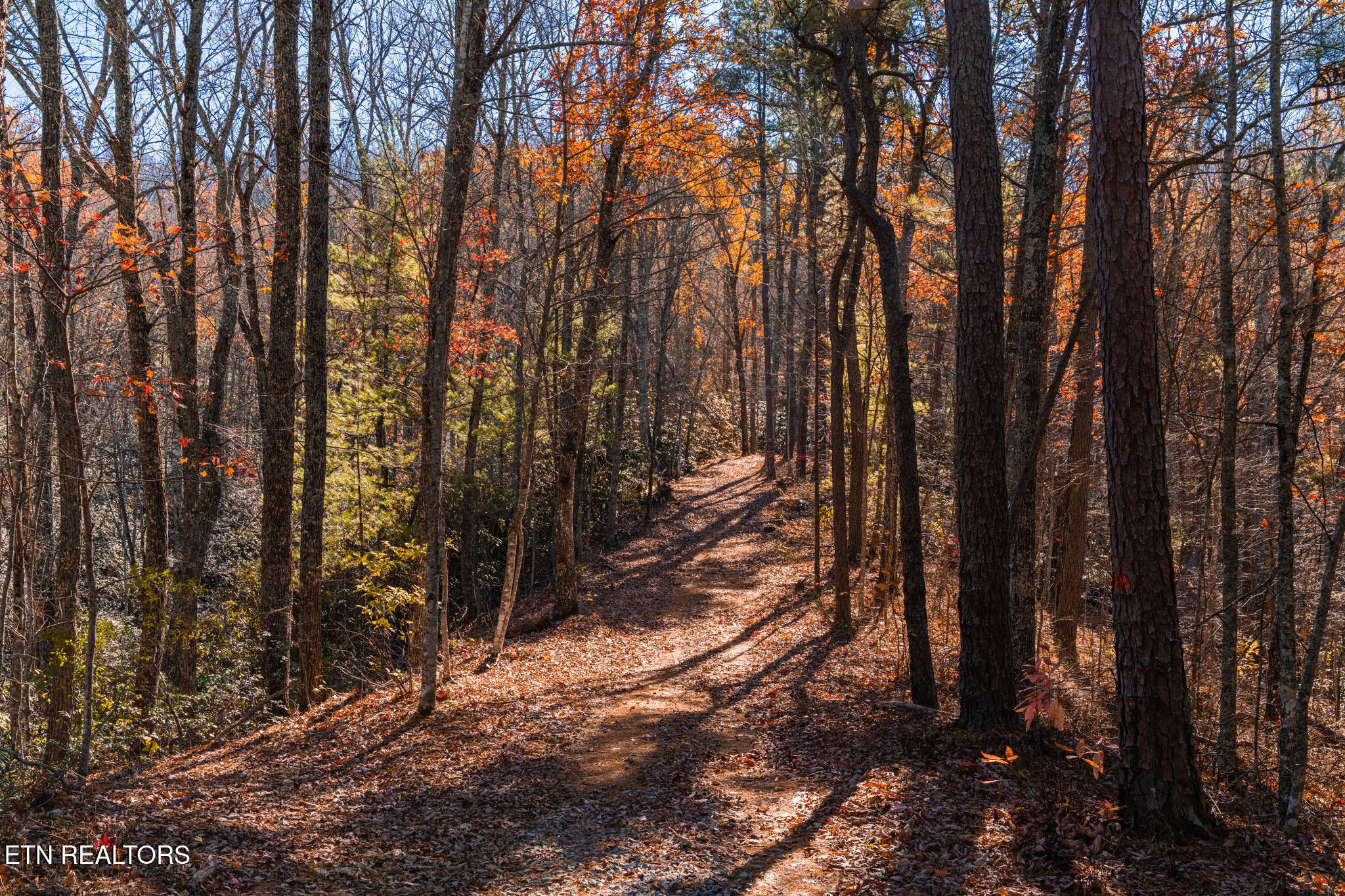4903 Long Rifle Road Walland TN 37886
