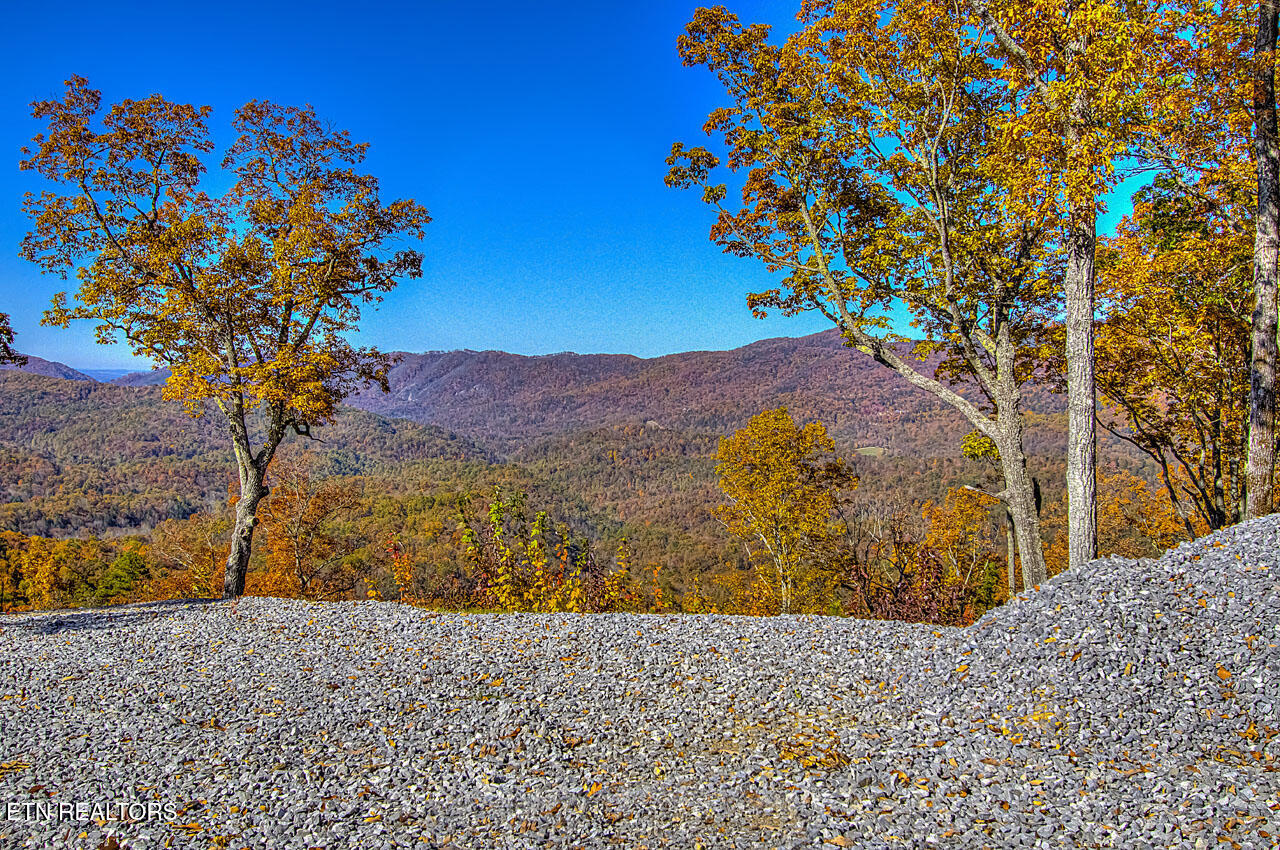 4903 Long Rifle Road Walland TN 37886
