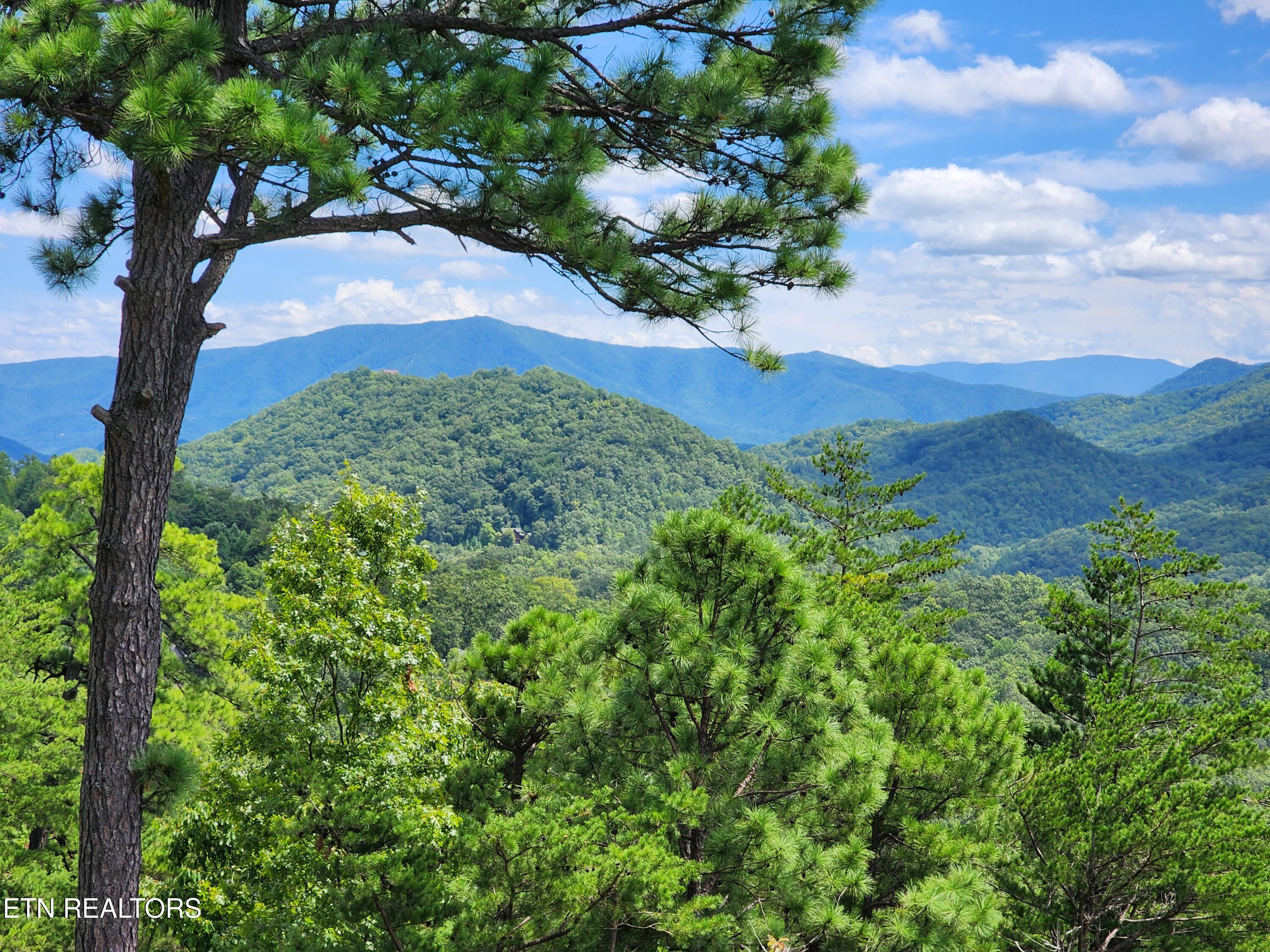 4903 Long Rifle Road Walland TN 37886
