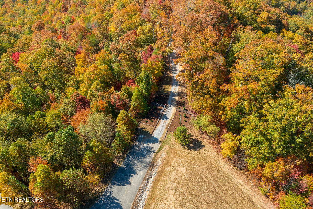 4903 Long Rifle Road Walland TN 37886