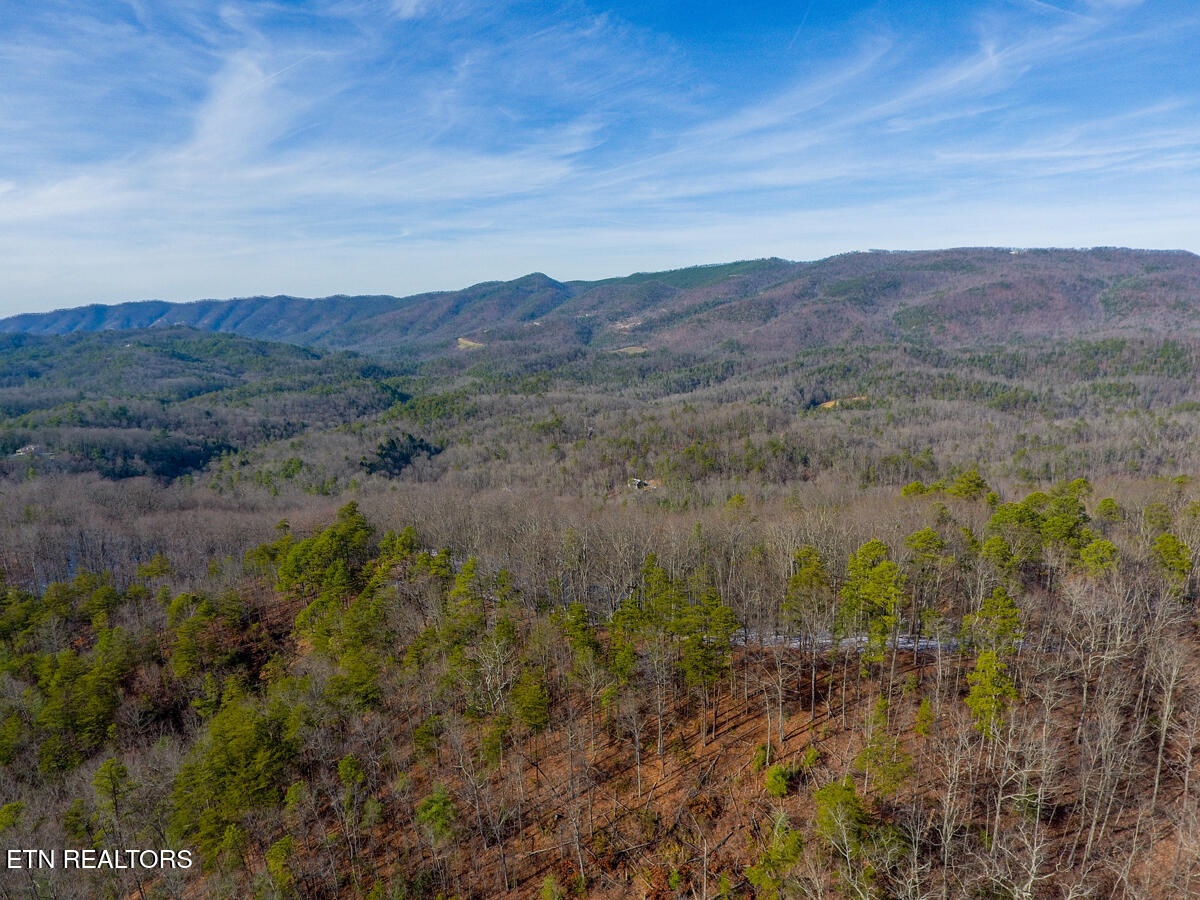 4903 Long Rifle Road Walland TN 37886