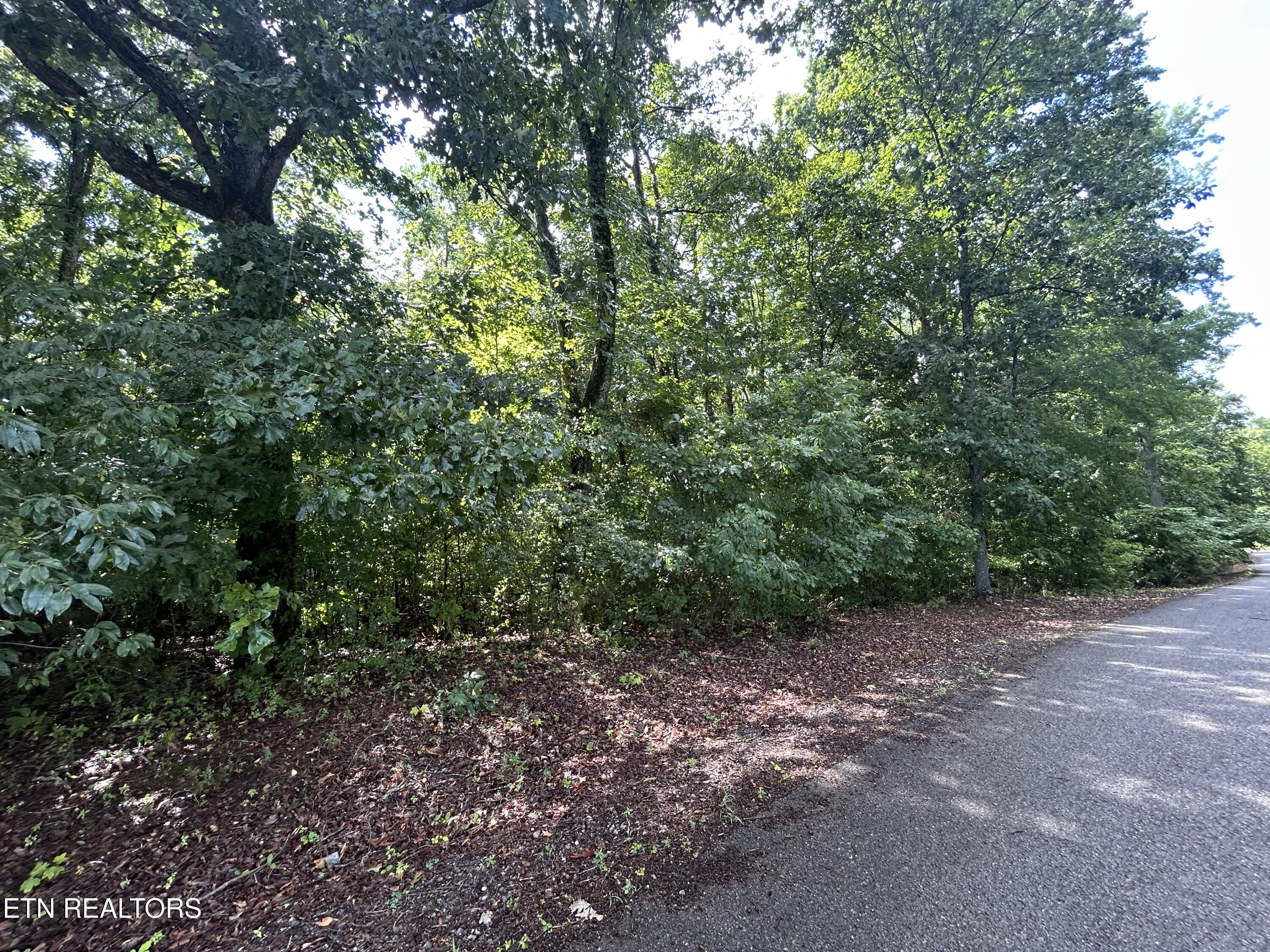 Butterfly Cove Trail Decatur TN 37322