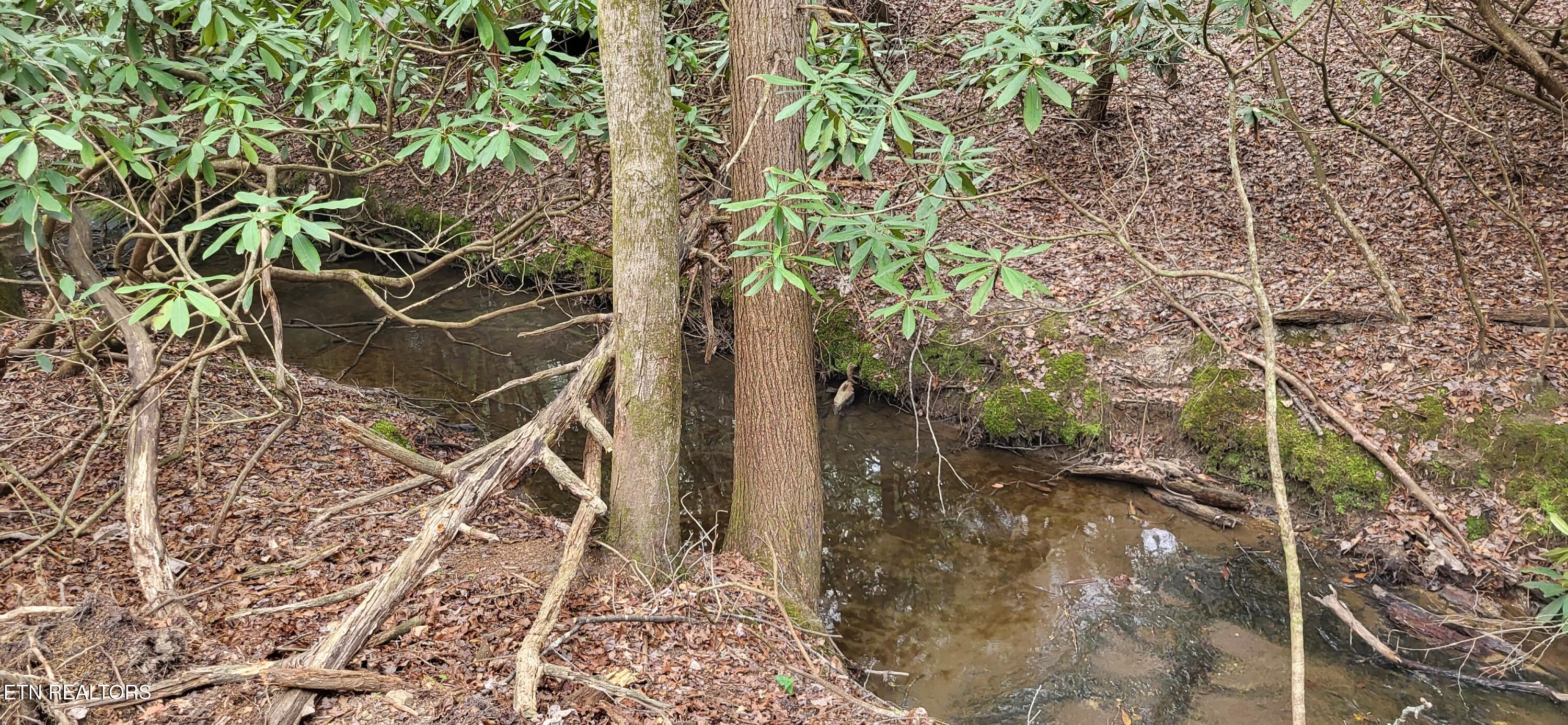 Lot 170 Saddle Drive Jamestown TN 38556