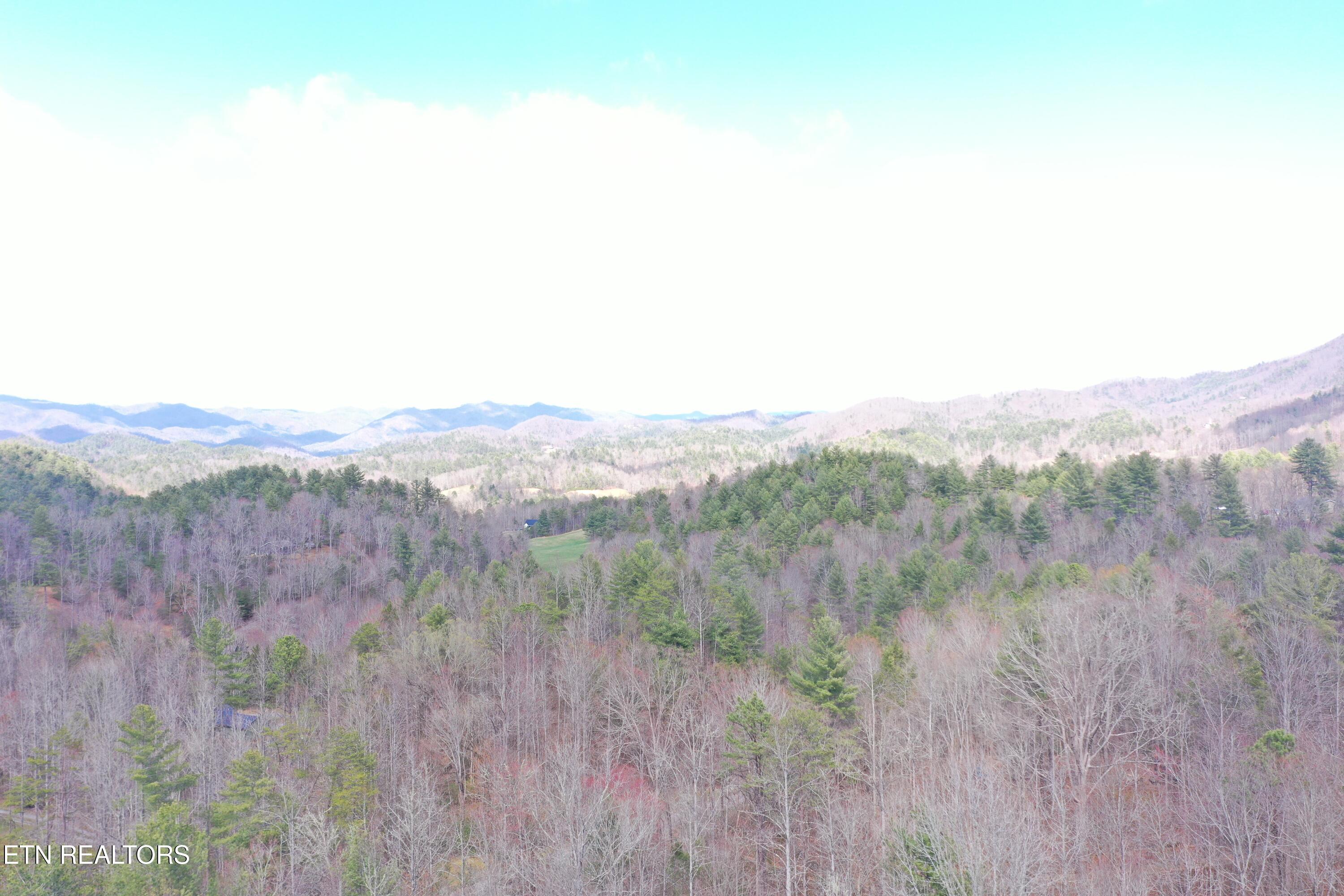 Round Mountain Del Rio TN 37727