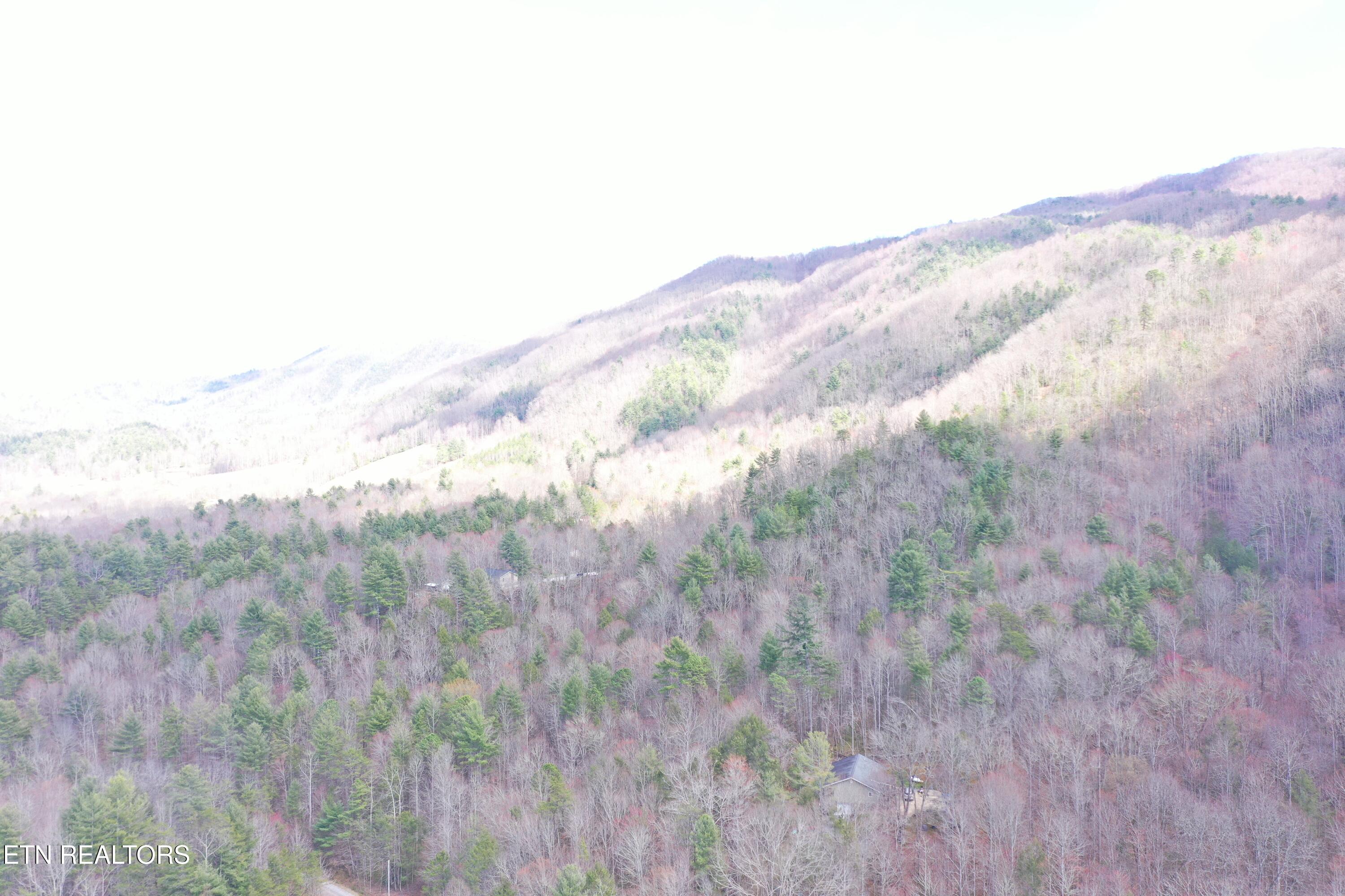 Round Mountain Del Rio TN 37727